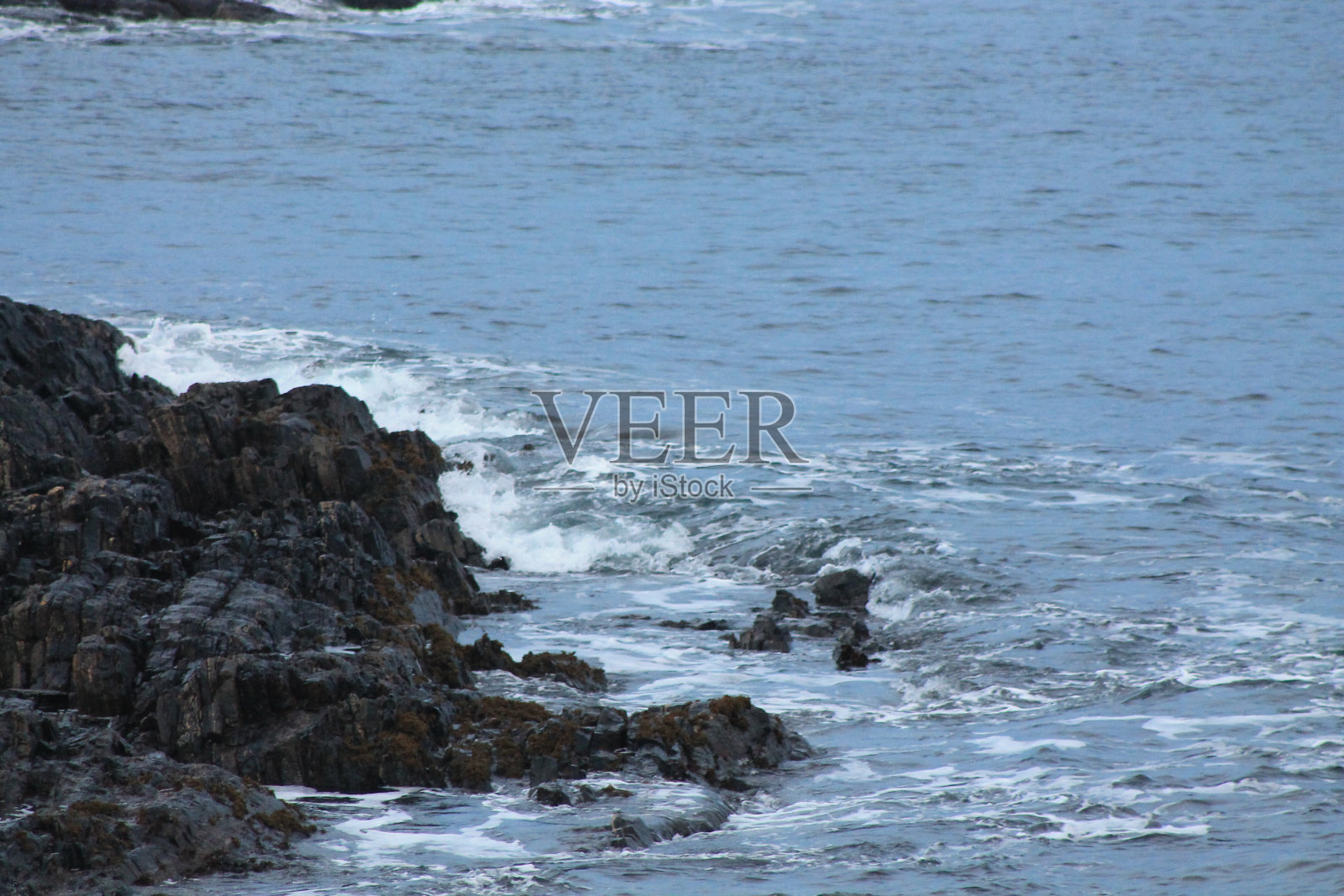 断言øySurondJan24照片摄影图片