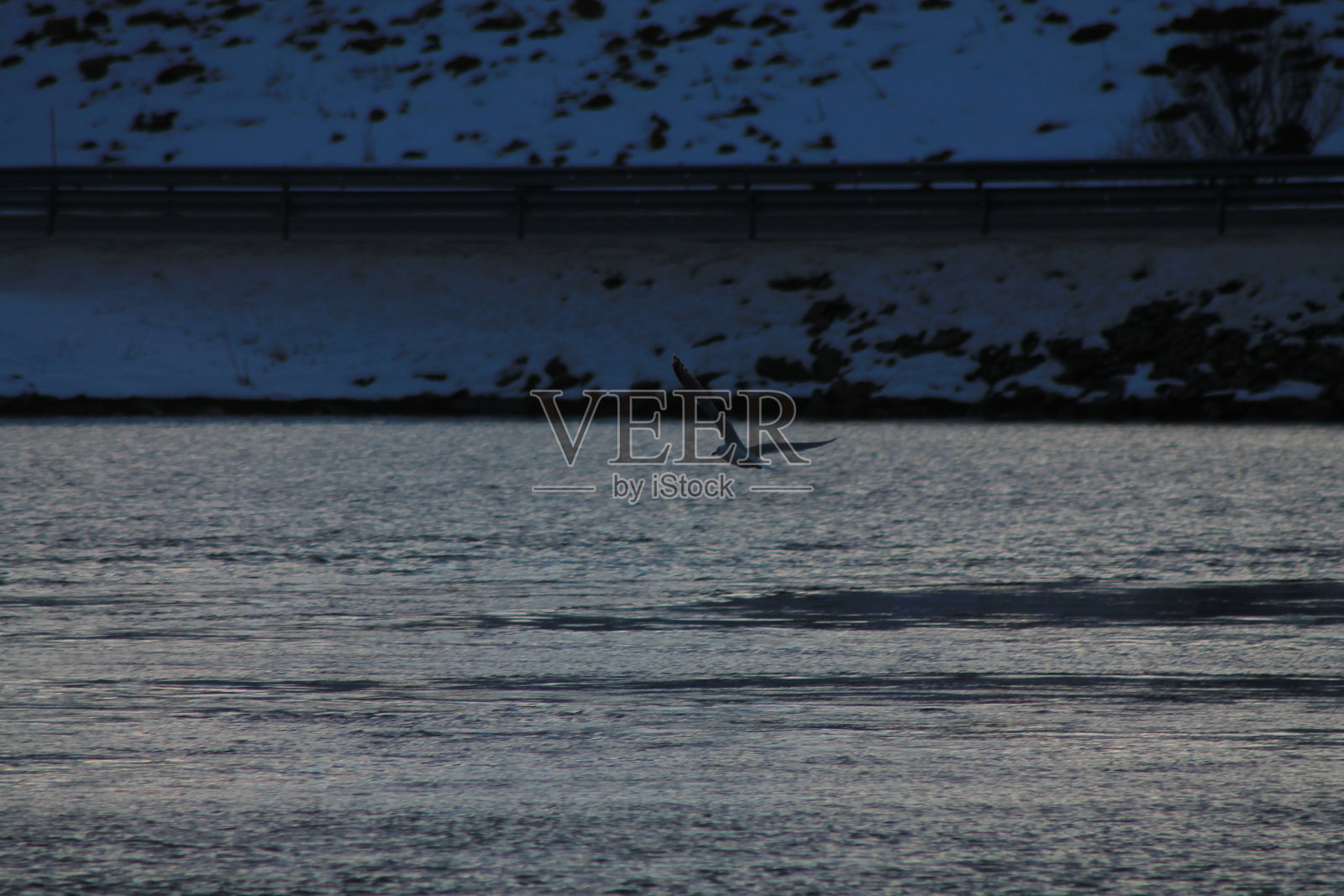 断言øySurondJan24照片摄影图片