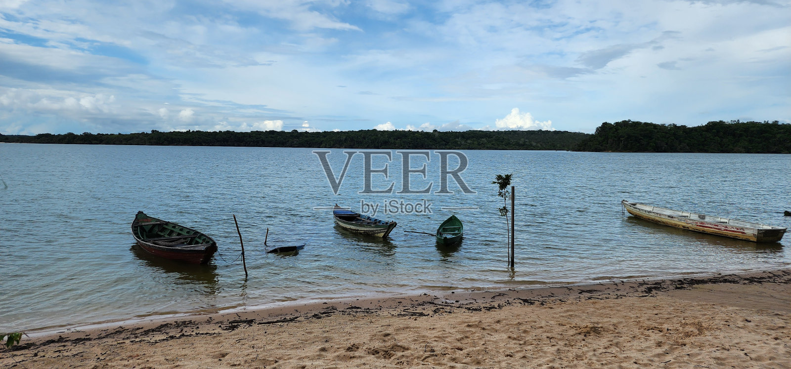 天然美女照片摄影图片