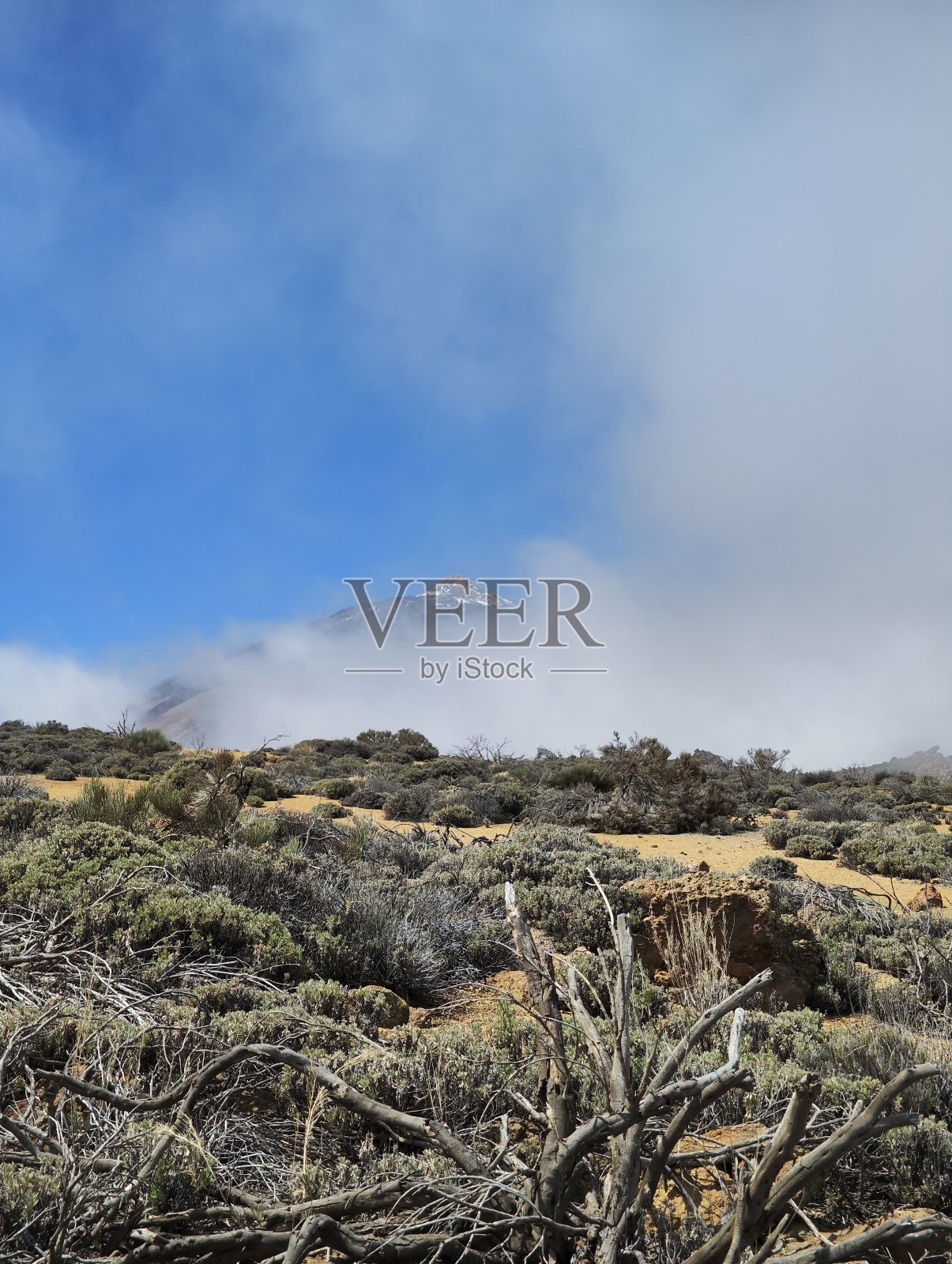 泰德国家公园照片摄影图片