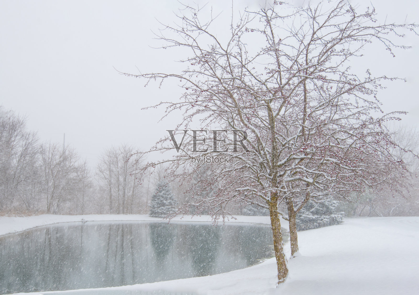 雪中的小湖，印第安纳州霍华德县照片摄影图片