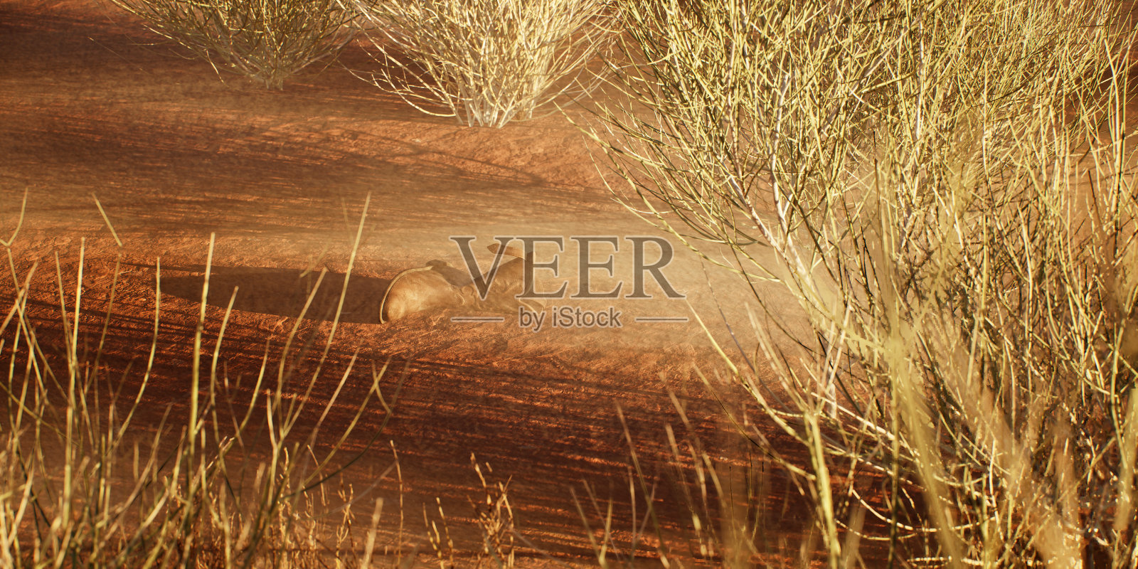 在雾蒙蒙荒凉的沙漠景观中丢失的牛仔靴。照片摄影图片