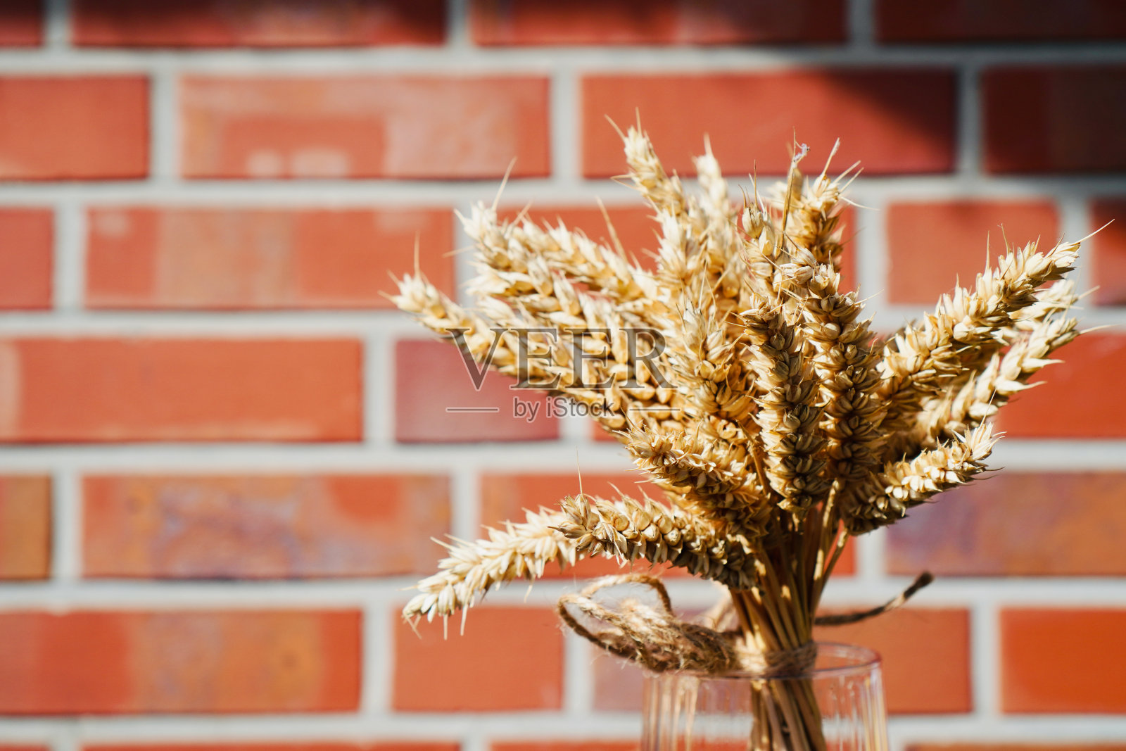 金穗小麦花束照片摄影图片