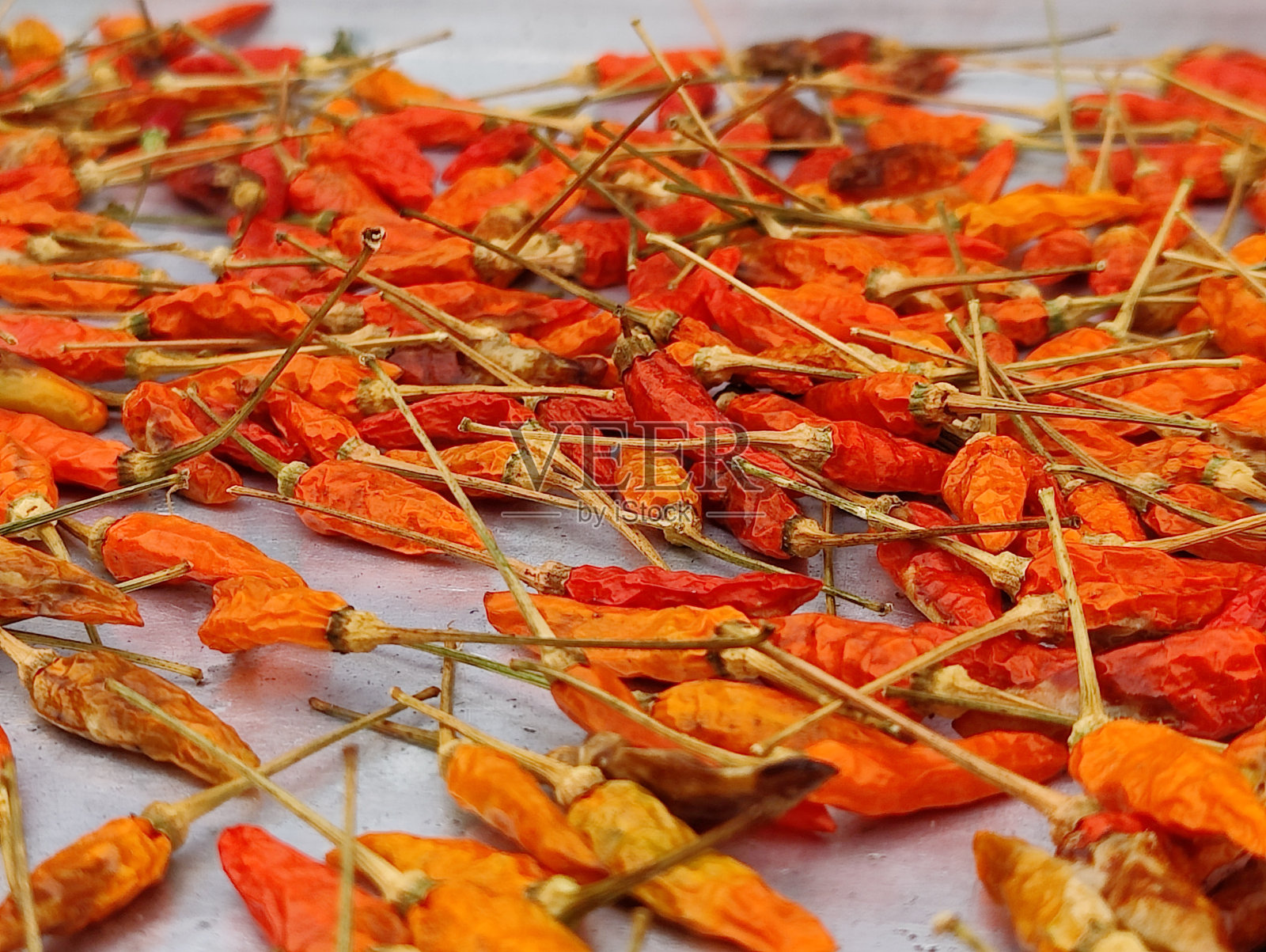 近距离看花照片摄影图片