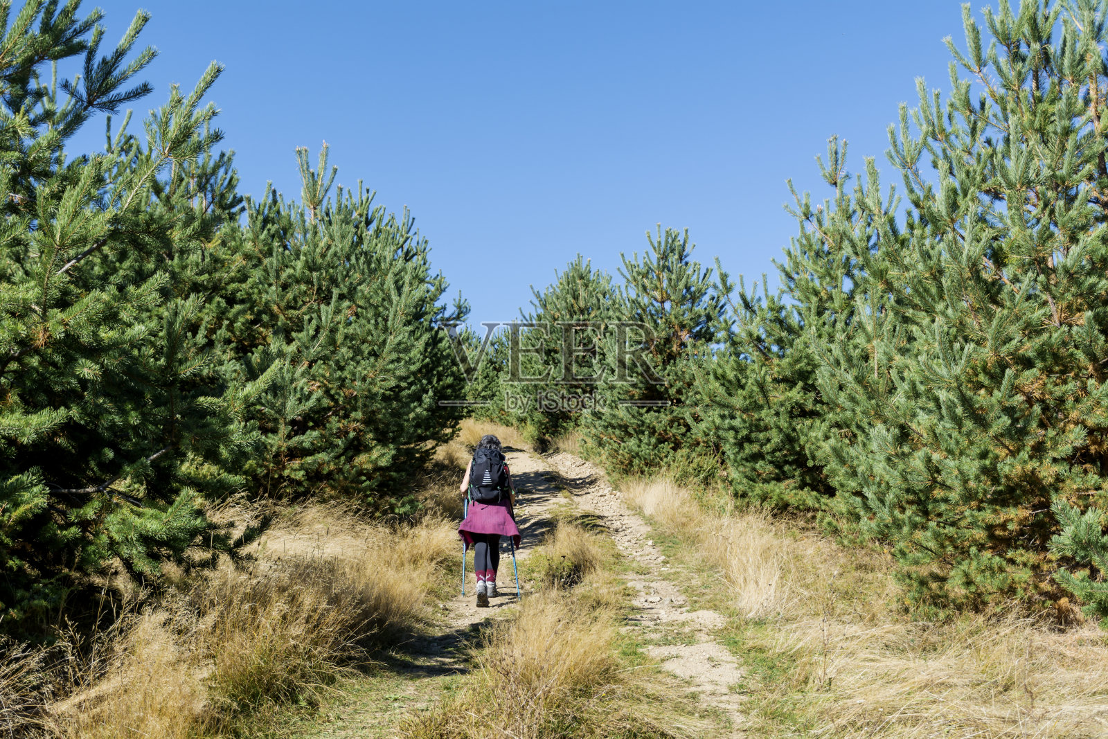 老年妇女在秋天的山上徒步旅行照片摄影图片