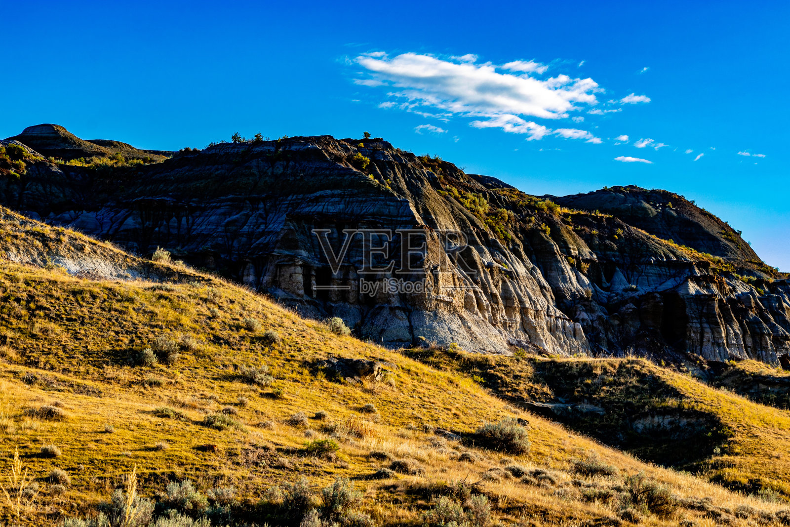 加拿大亚伯达省恐龙省立公园照片摄影图片