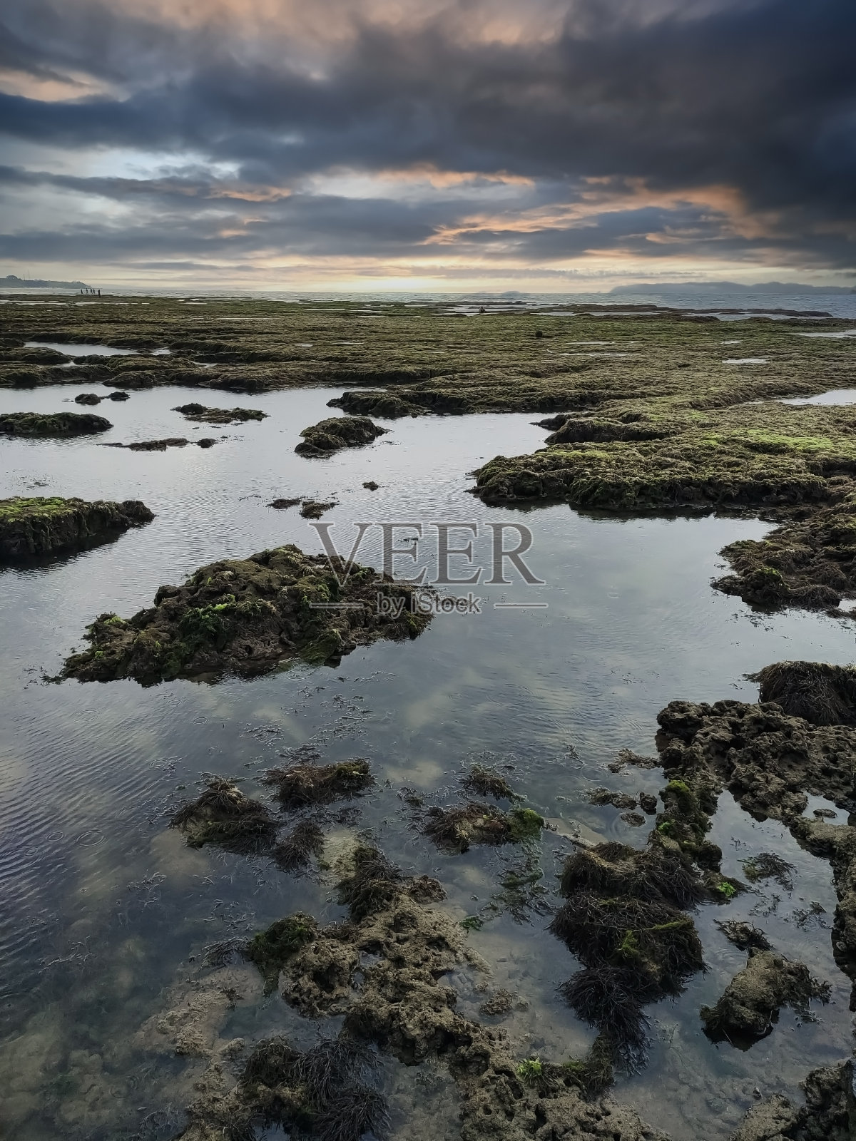 在珊瑚湾的海岸宁静阴沉的天空照片摄影图片