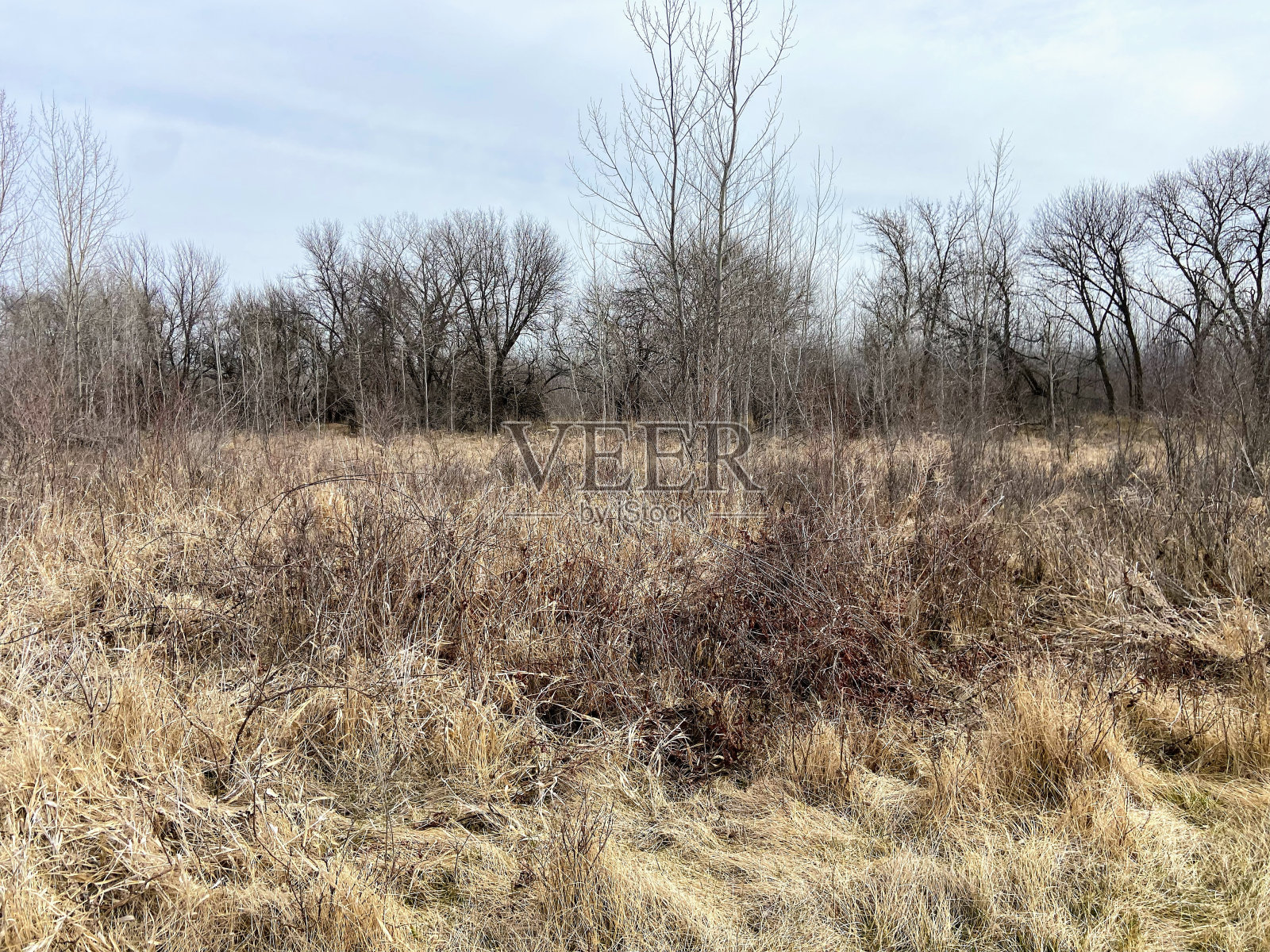 Boyer Chute国家野生动物保护区，内布拉斯加州照片摄影图片