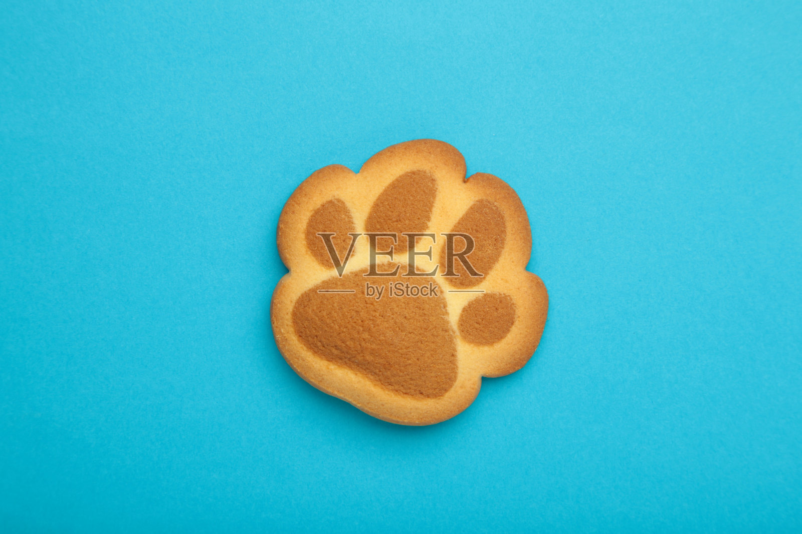 自制猫爪饼干在蓝色的背景。照片摄影图片