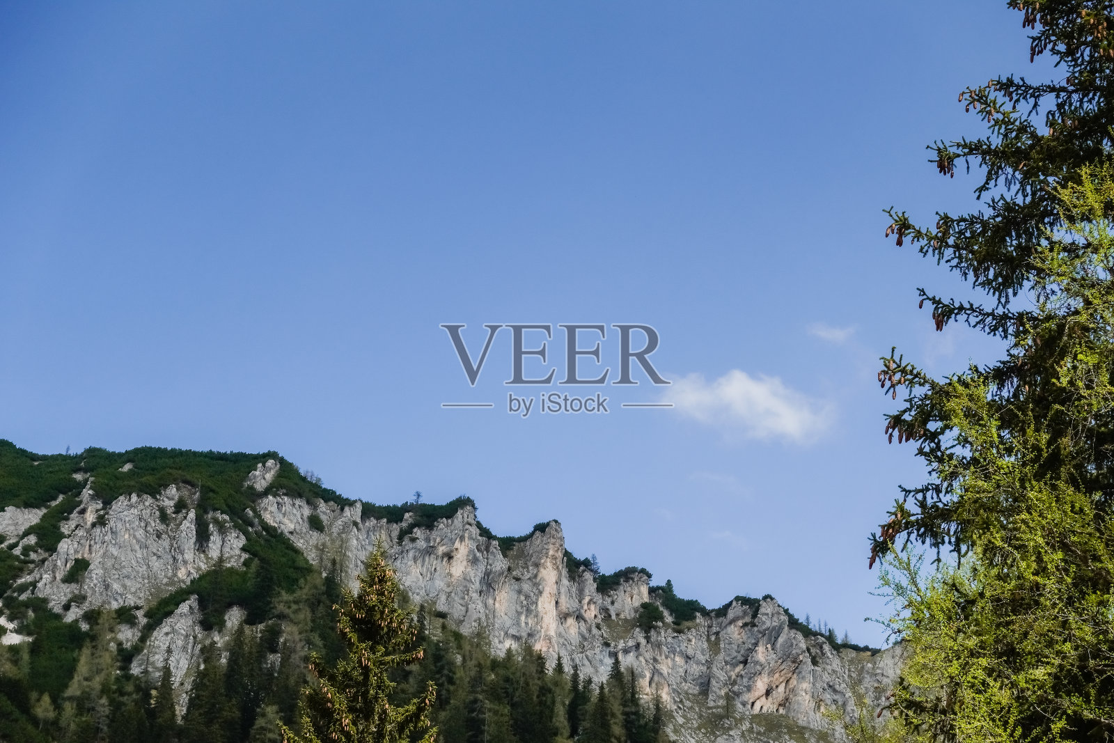 弯弯曲曲的绿色岩石山，深蓝色的天空和一棵松树照片摄影图片