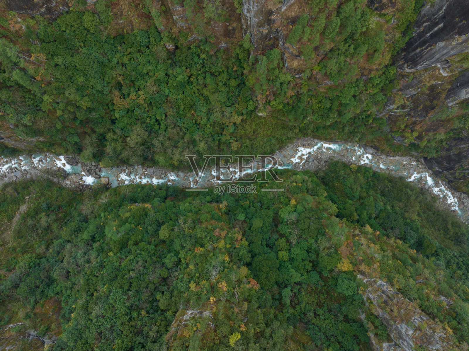 鸟瞰中国西藏美丽的森林山景照片摄影图片