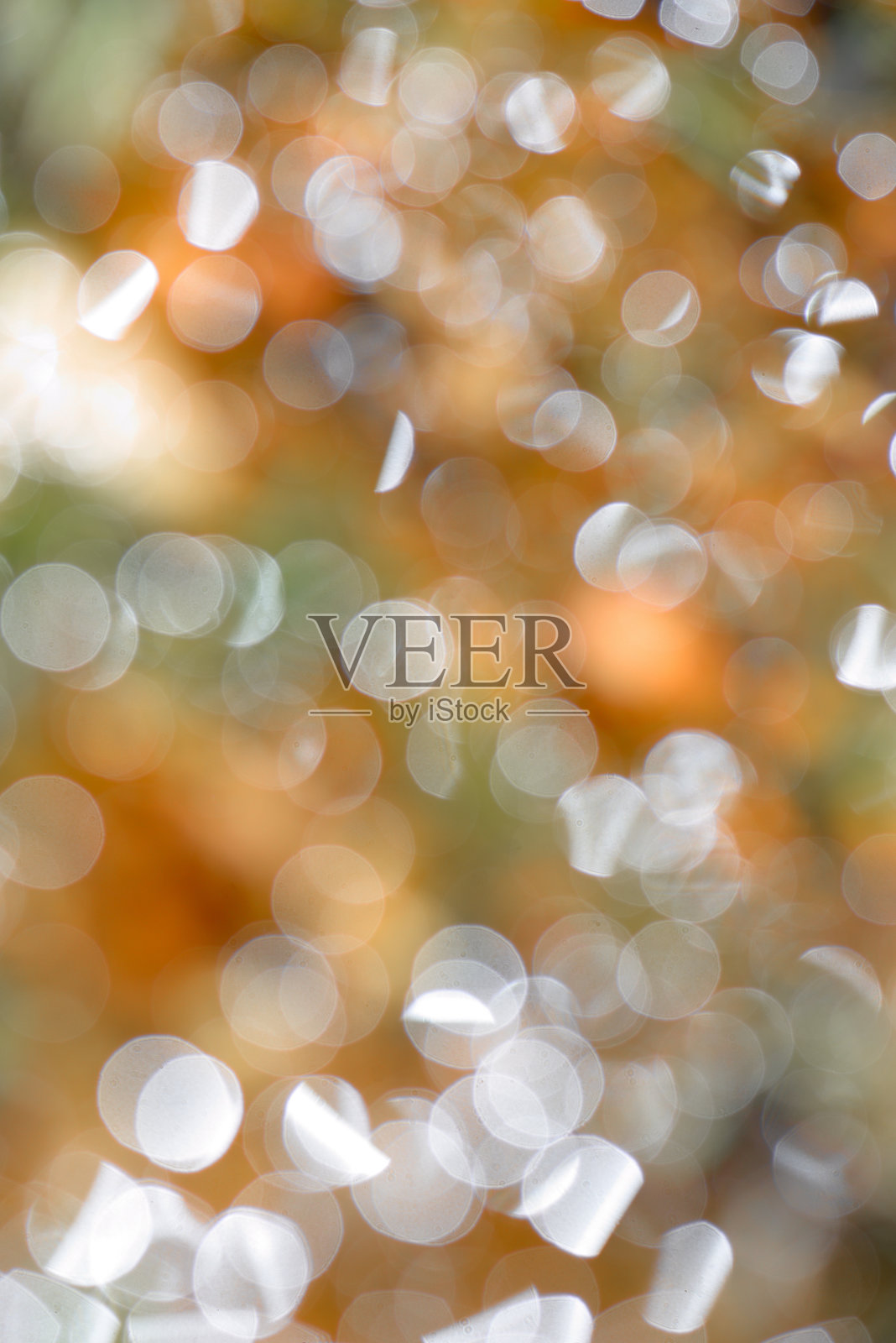 散焦照片摄影图片