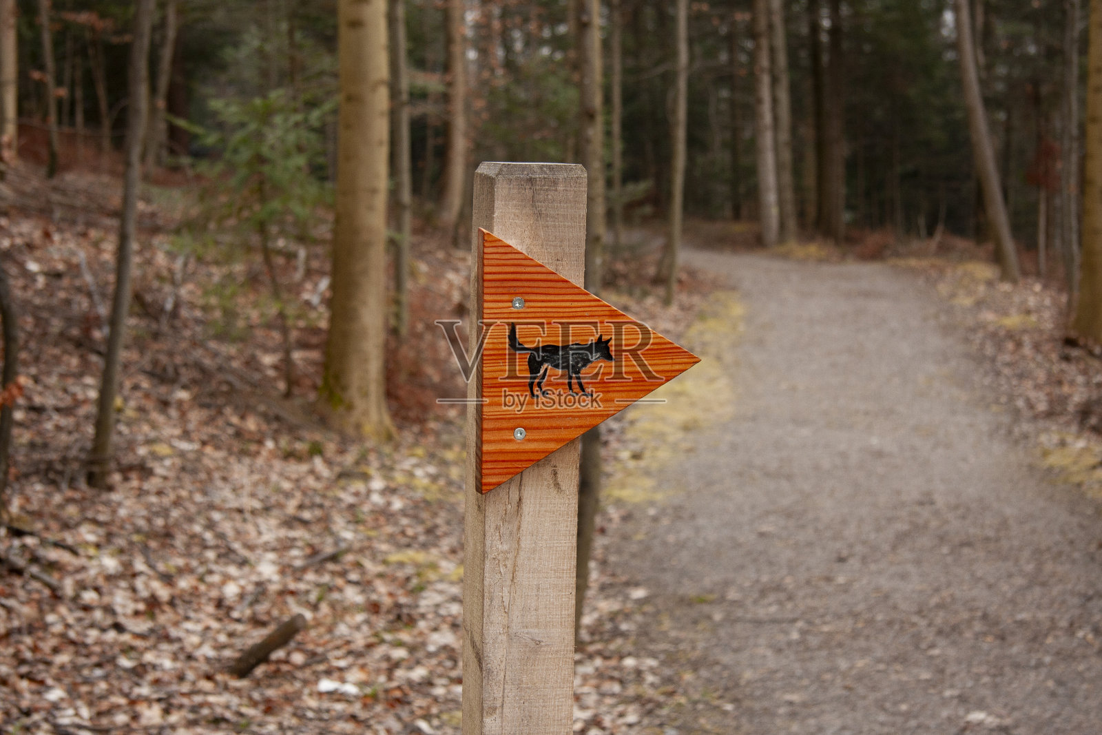 动物标志柱照片摄影图片