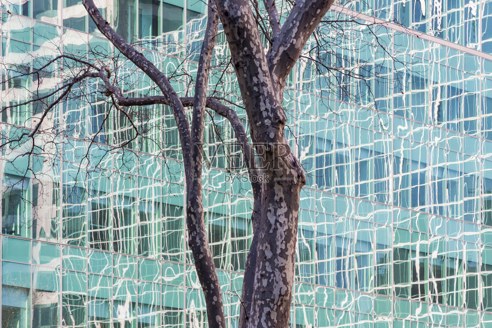 曼哈顿，纽约，纽约，美国照片摄影图片