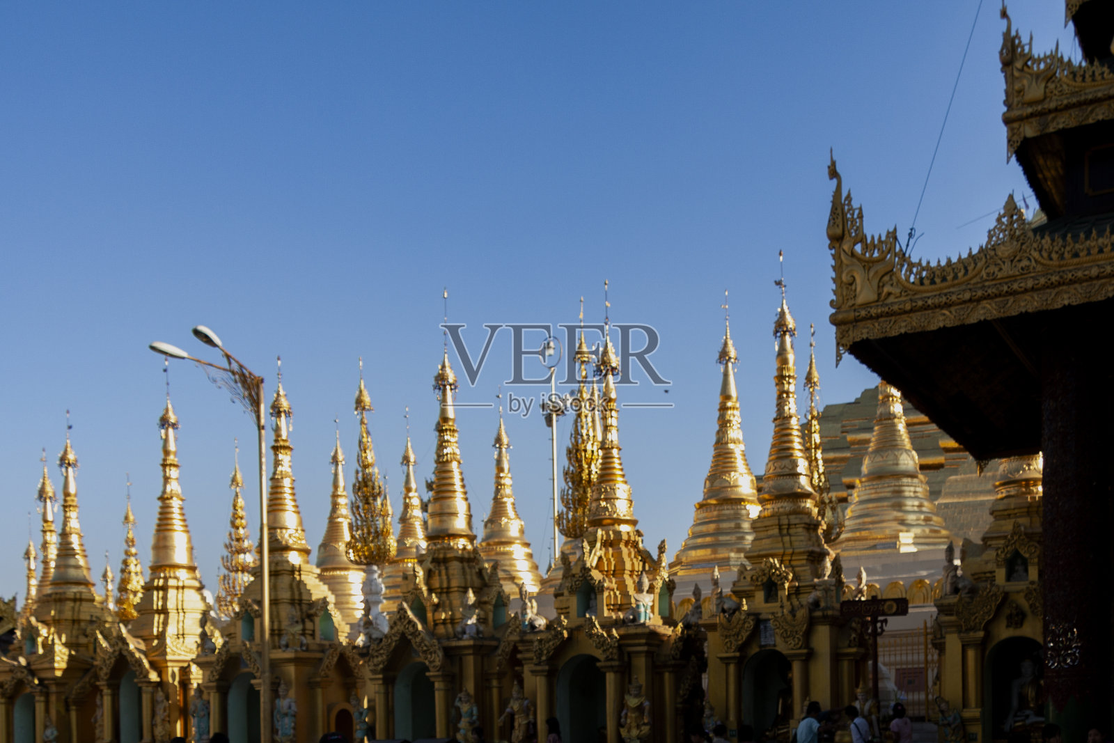 缅甸仰光的大金塔照片摄影图片