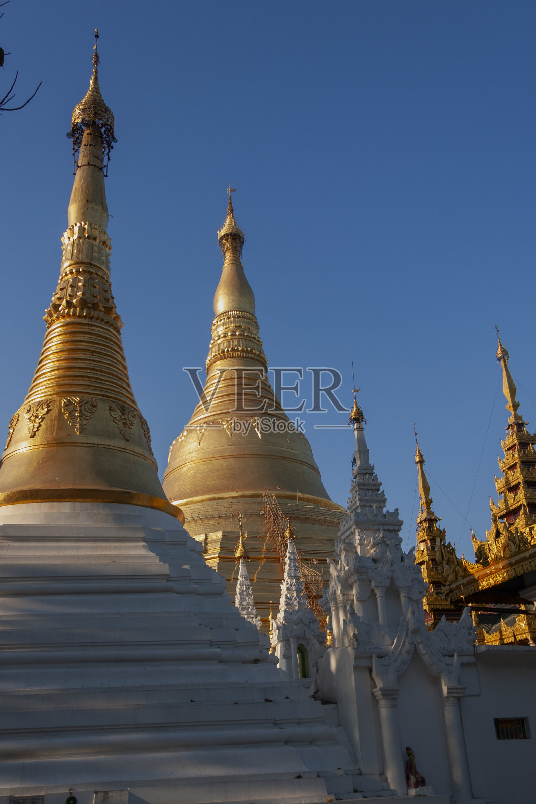 缅甸仰光的大金塔照片摄影图片