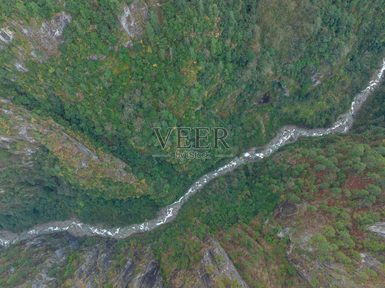 鸟瞰中国西藏美丽的森林山景照片摄影图片