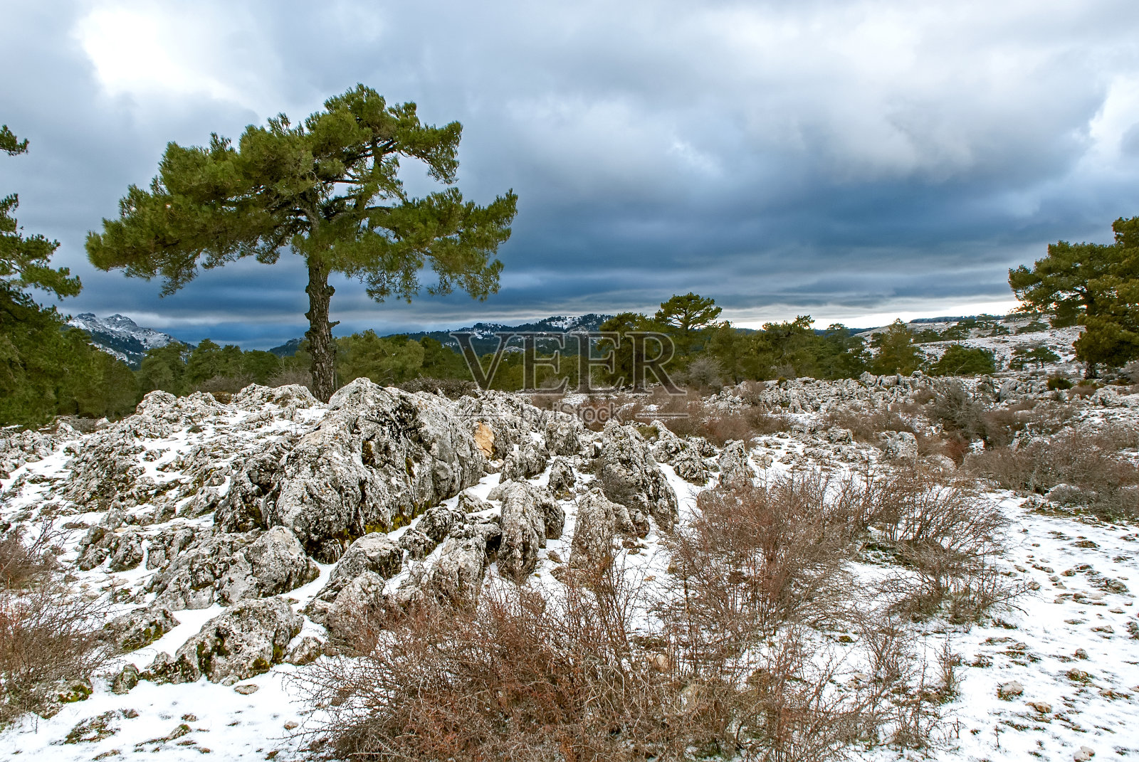 冬季在卡索拉、塞古拉和拉斯维拉的自然公园。照片摄影图片