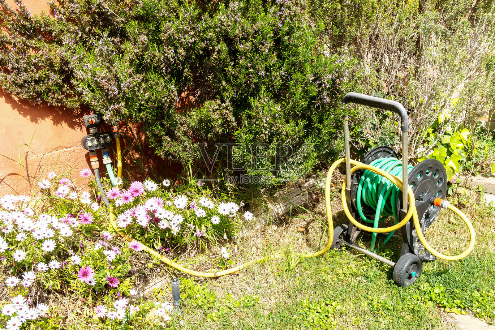 花园软管连接到自动灌溉系统。园艺的概念。照片摄影图片