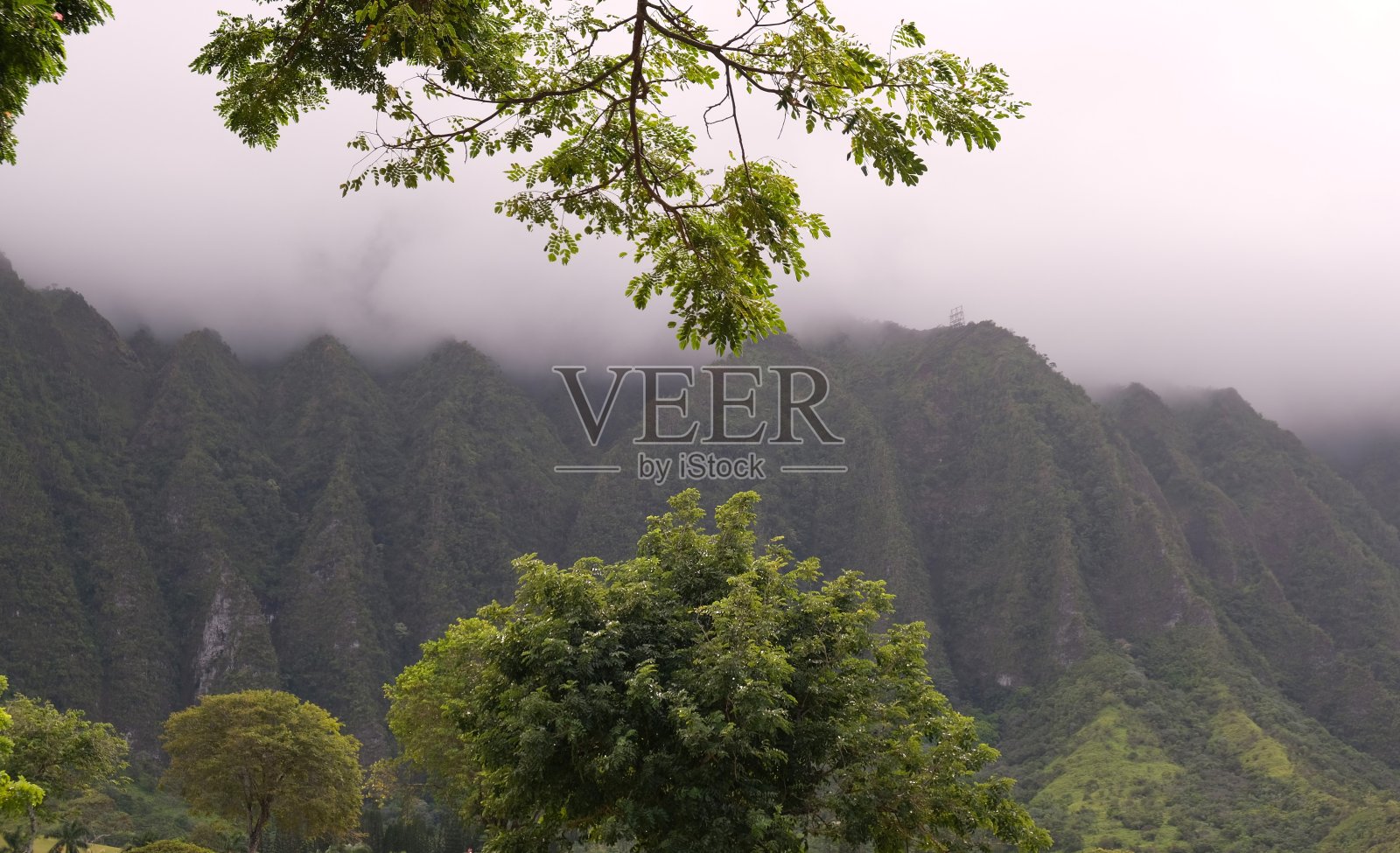 欧胡岛迎风面的科奥劳山脉照片摄影图片