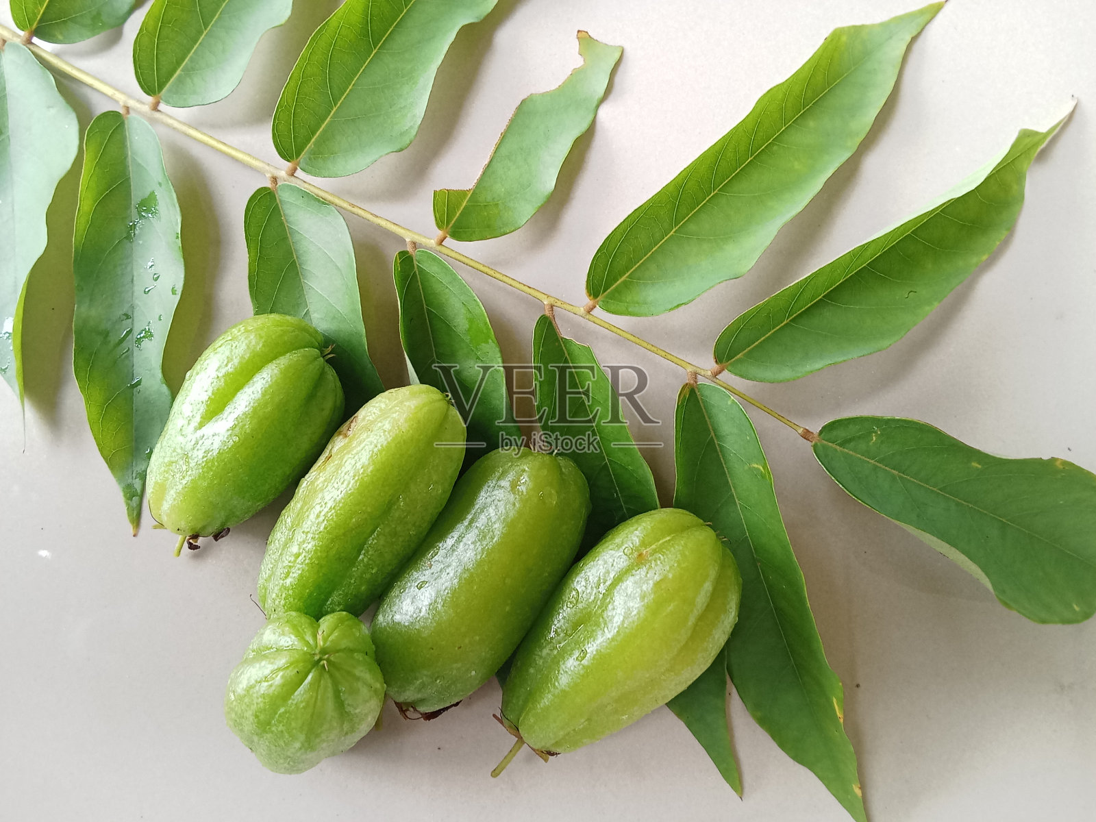 Averrhoa bilimbi照片摄影图片