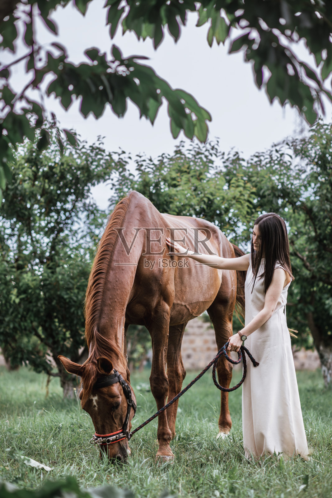 宁静的时刻。在绿树下，穿着白色连衣裙的女人和高大的棕色马在一起照片摄影图片