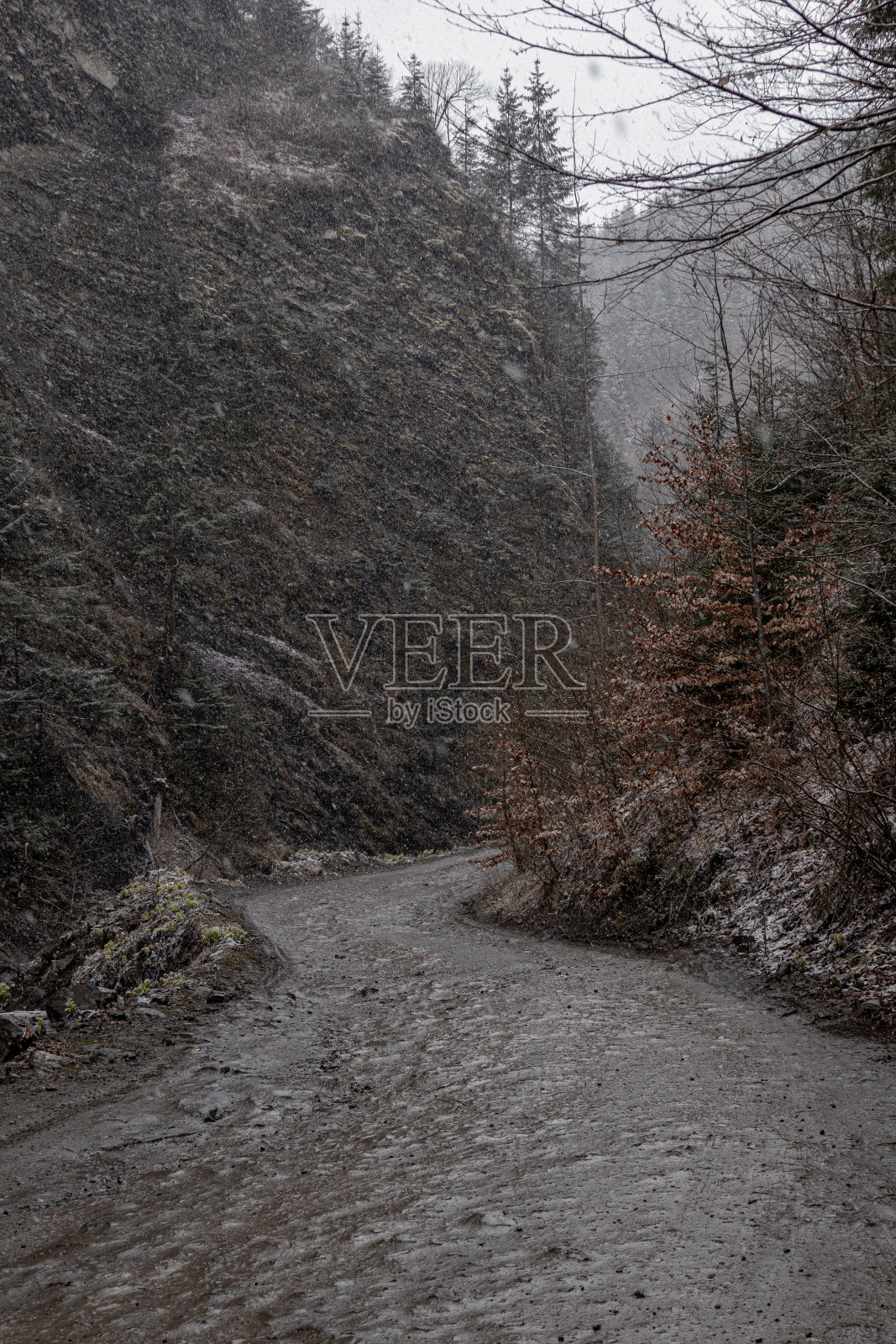 天开始下雪了。在前往龙舌兰滑雪胜地的路上，发现了著名的岩石和瀑布，被称为“忠诚之岩”照片摄影图片