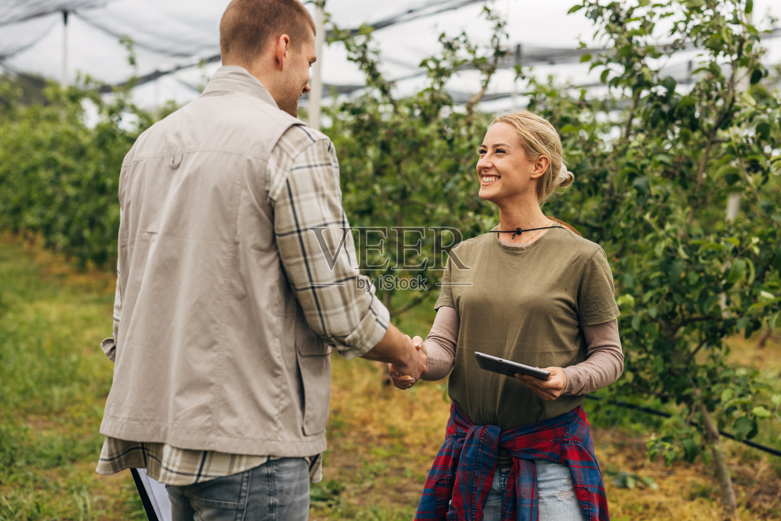 果园照片摄影图片