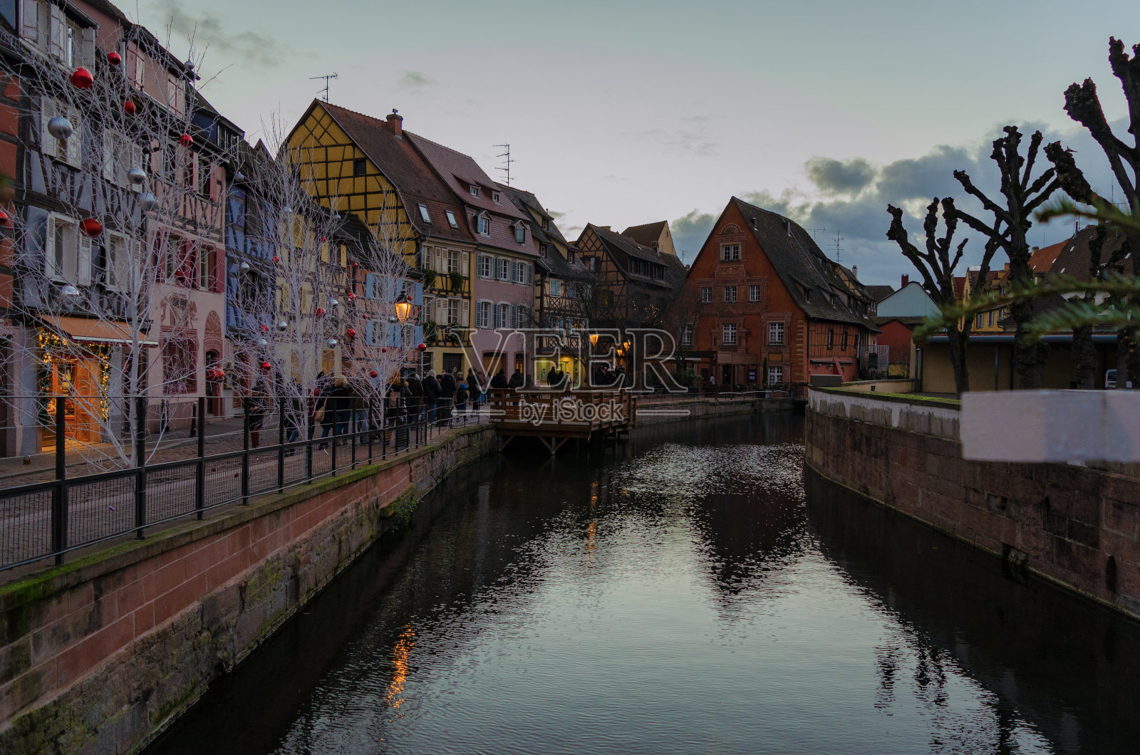 科尔照片摄影图片