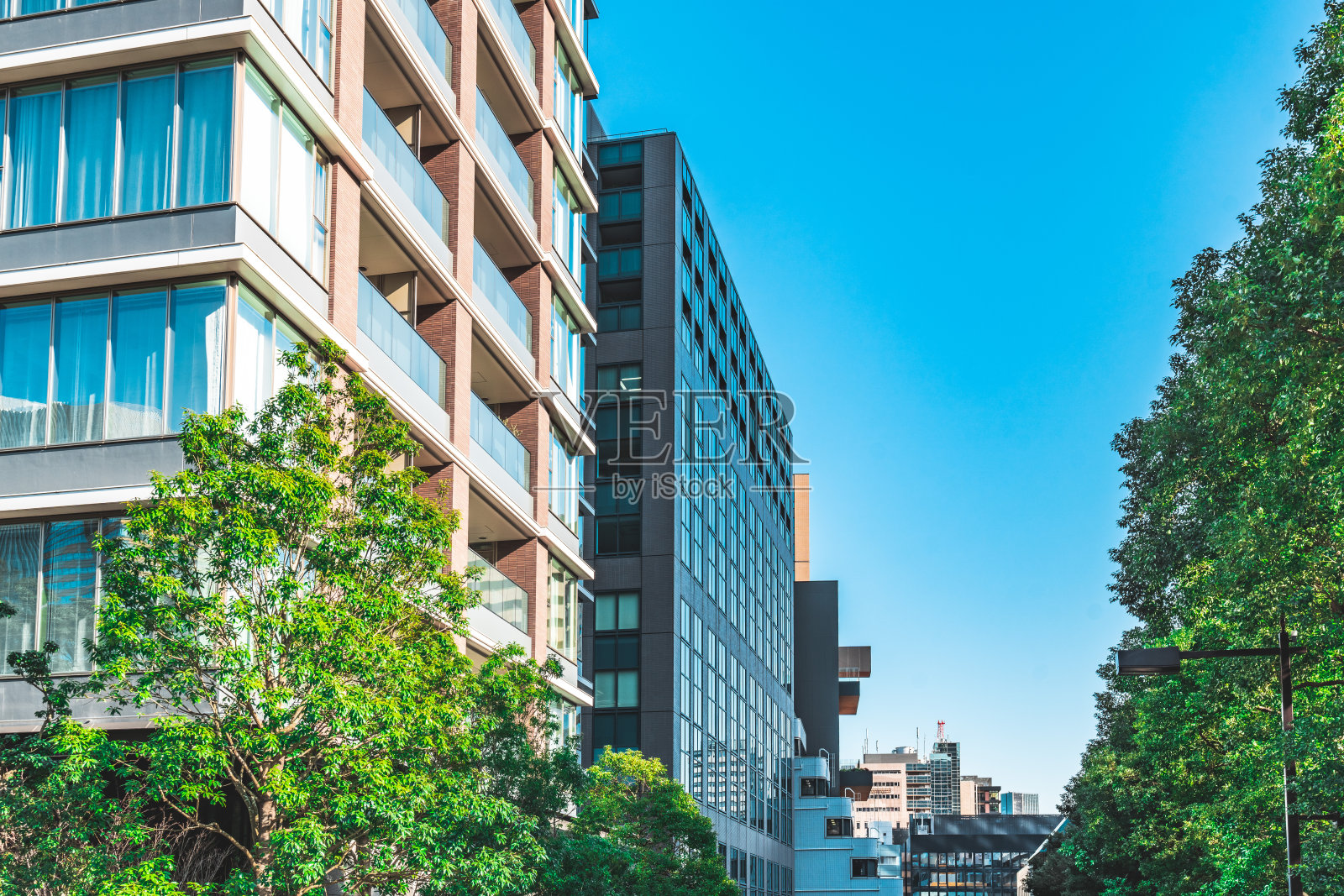 商业大厦和绿叶照片摄影图片
