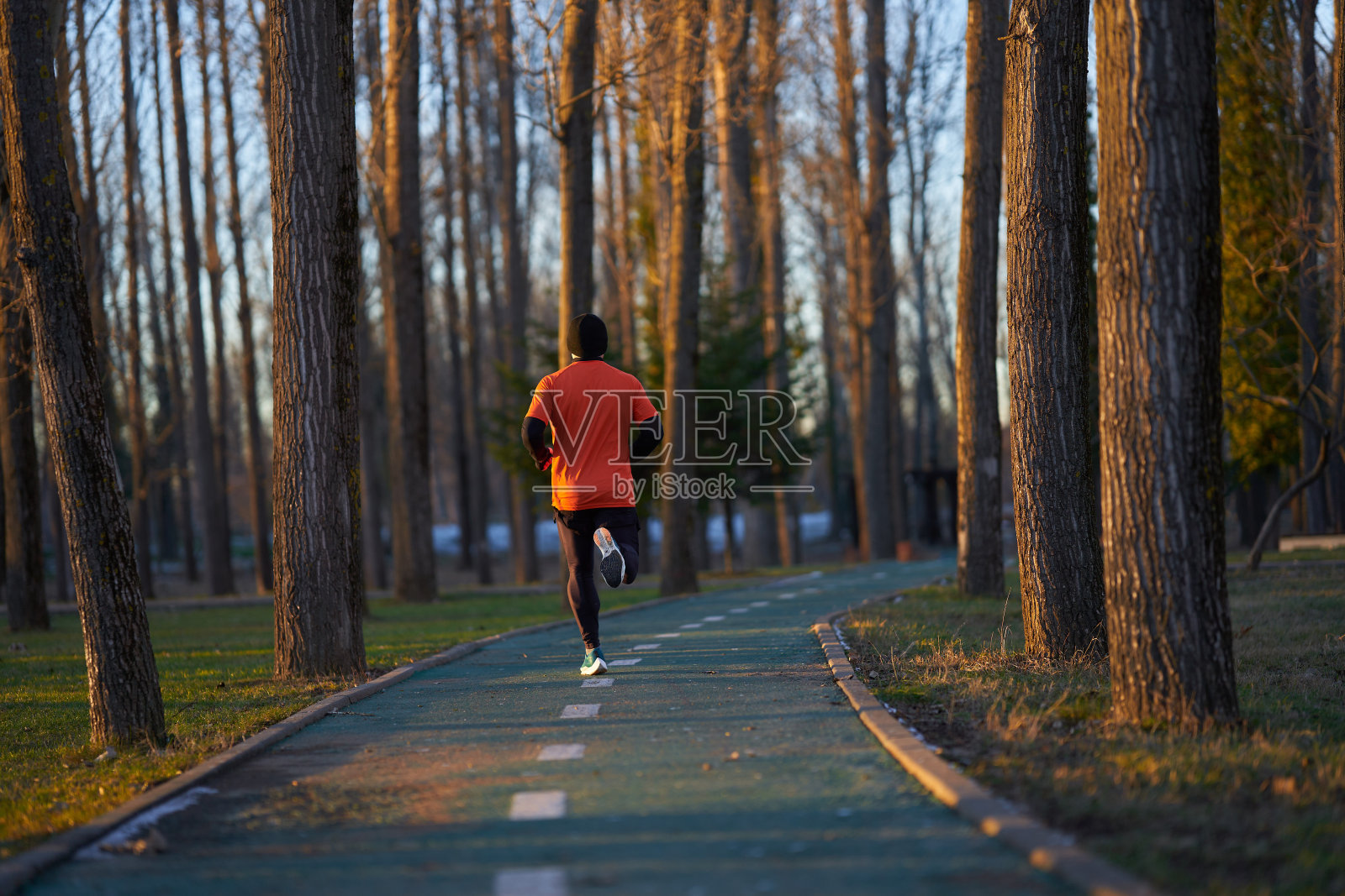 运动员在公园里跑步，从背后看照片摄影图片