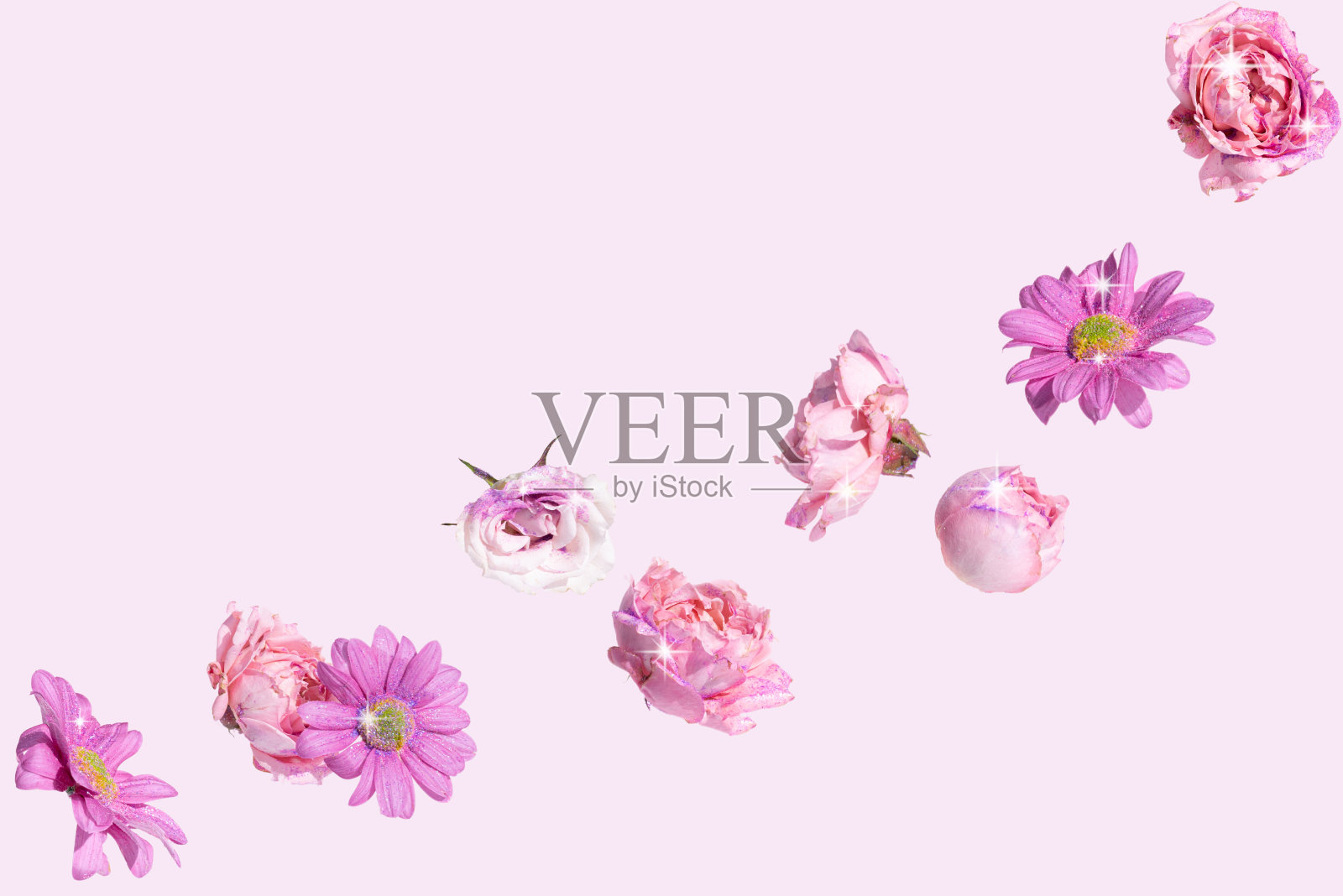 美丽的春花照片摄影图片