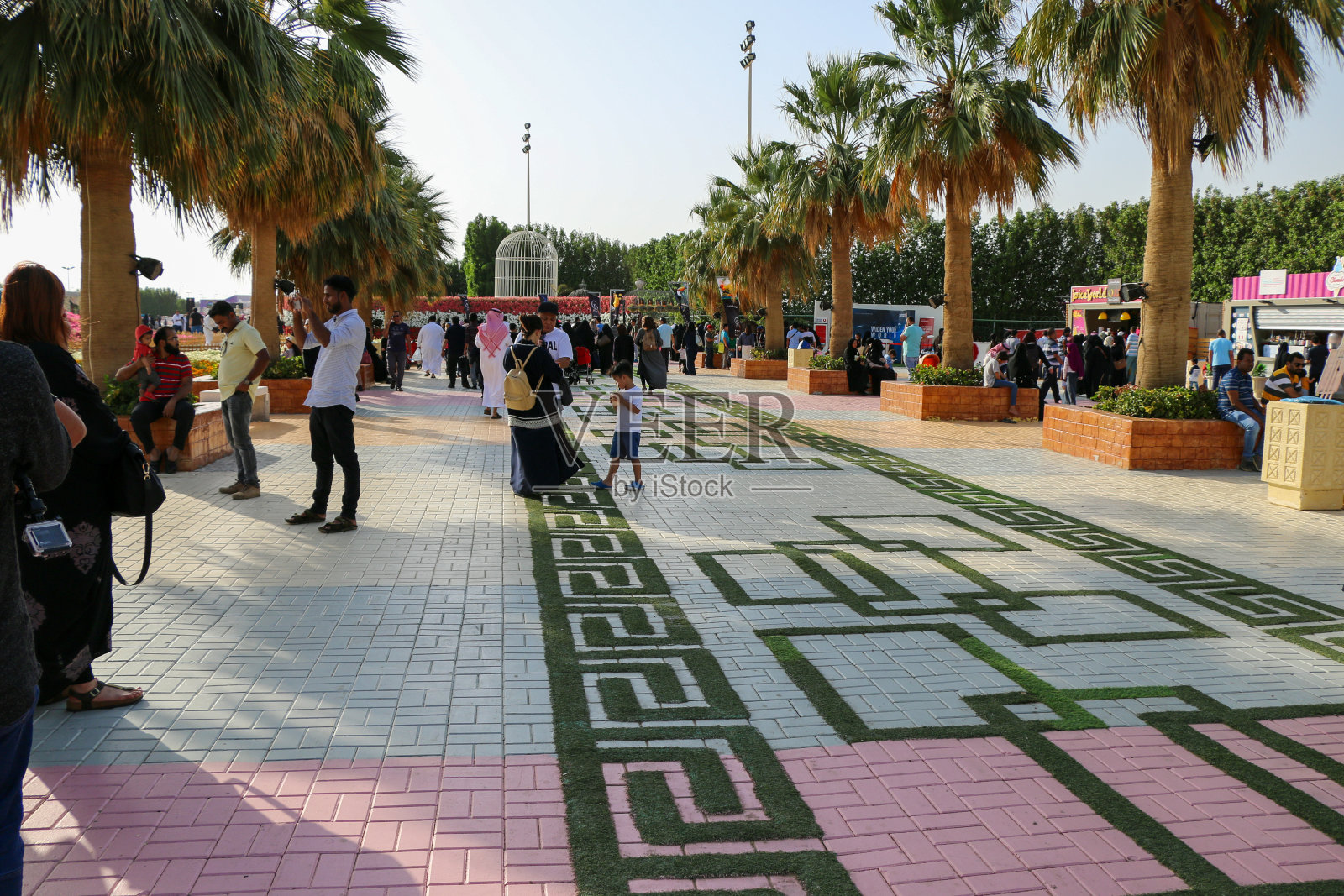 沙特阿拉伯延布花卉节照片摄影图片