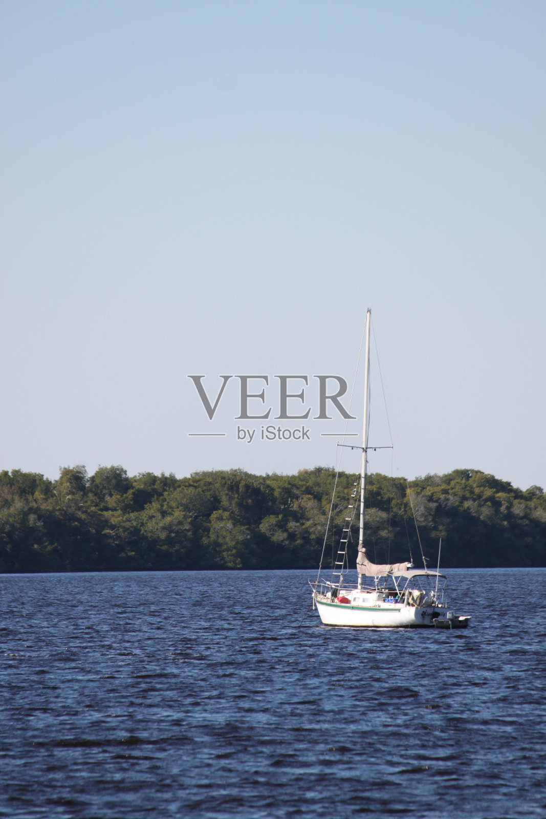 佛罗里达州迈尔斯堡照片摄影图片