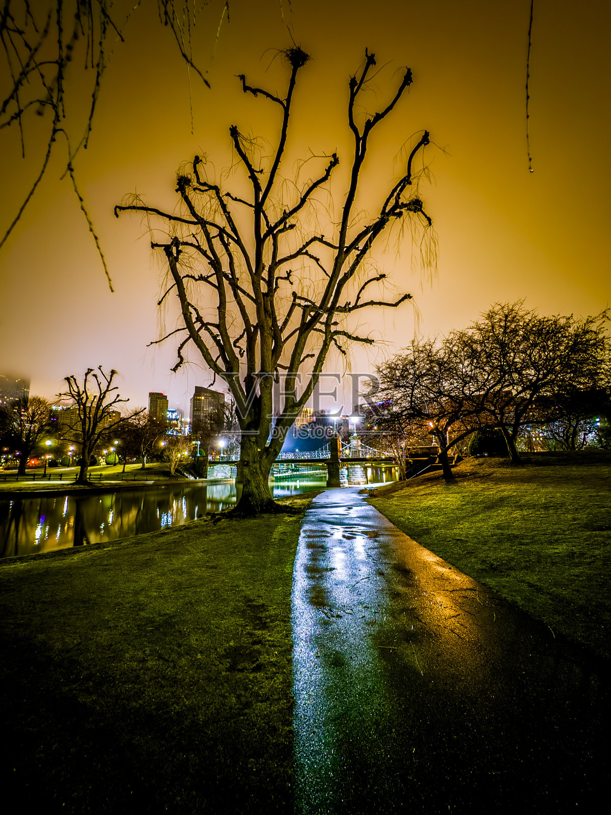 波士顿公共花园照片摄影图片