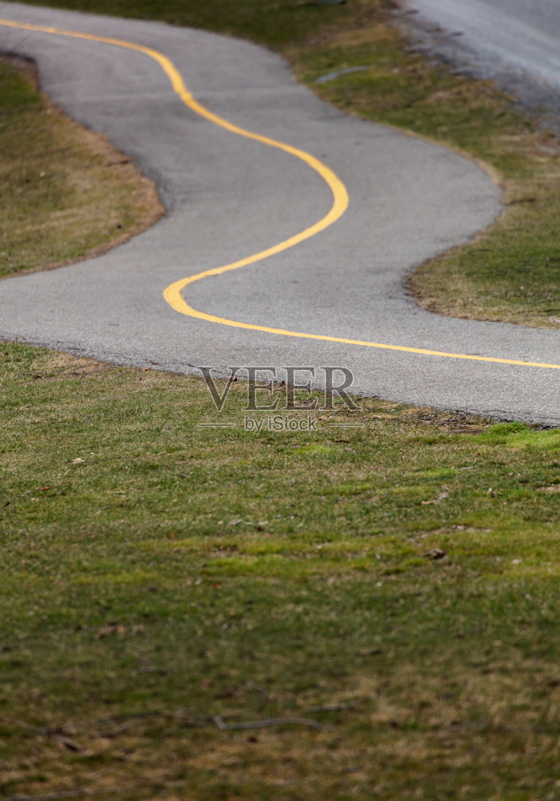 蜿蜒穿过公园的自行车道照片摄影图片