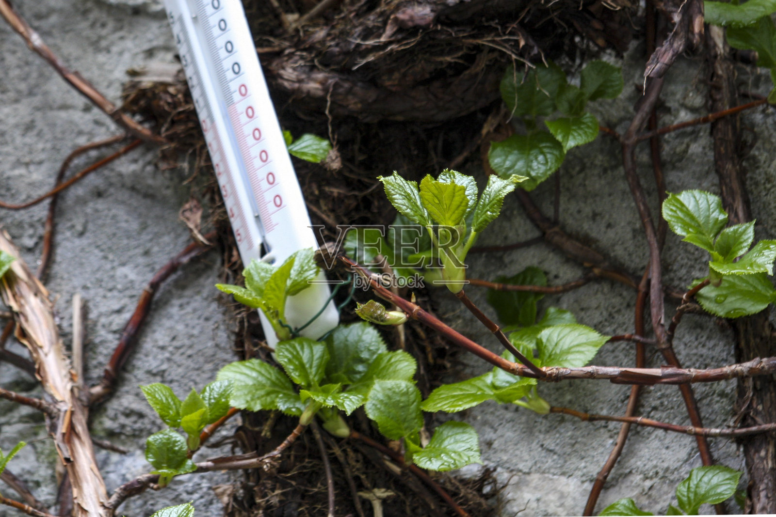 瓦杜兹、列支敦士登照片摄影图片