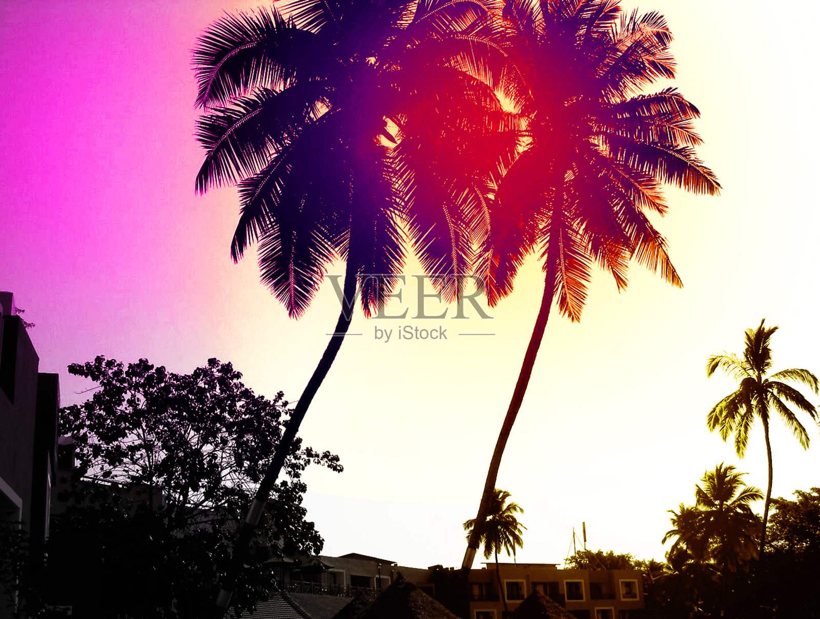 模糊的落日美景令人叹为观止。橘黄色天空下的椰子树。的背景。旅游卡。复古着色效应照片摄影图片