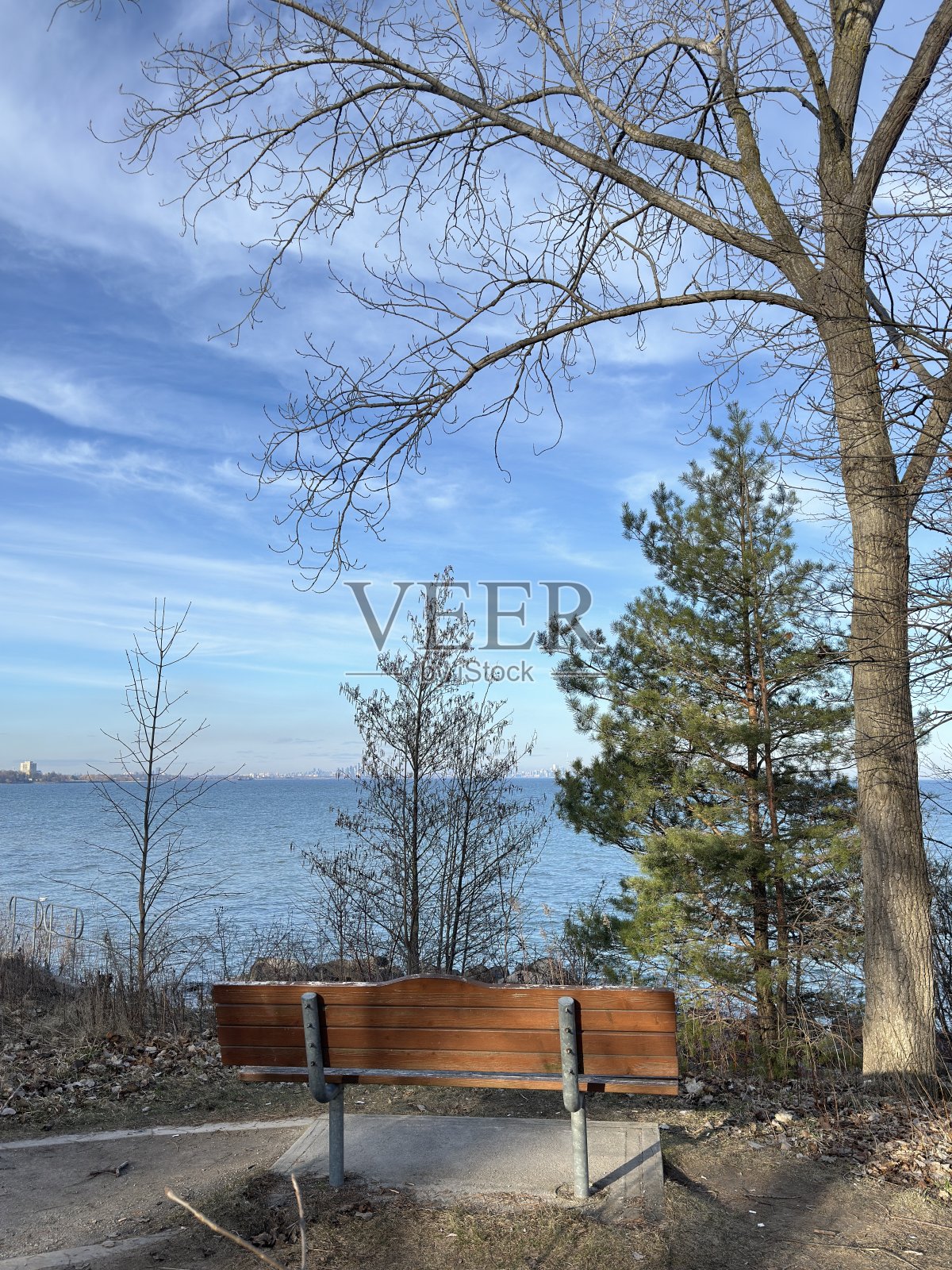 沼泽照片摄影图片