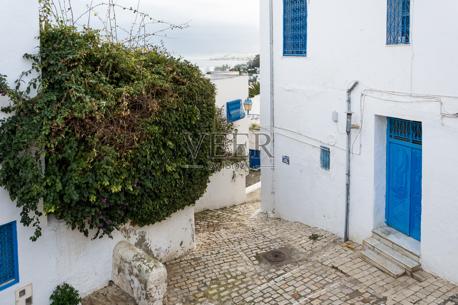 突尼斯北部Sidi Bou Said的细节照片摄影图片