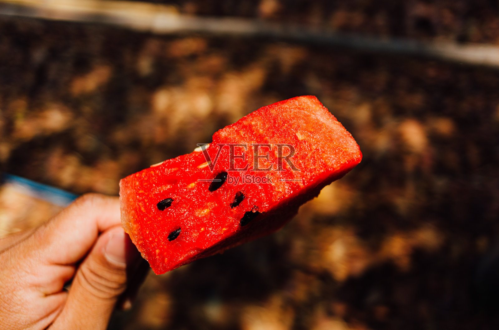 西瓜特写照片摄影图片