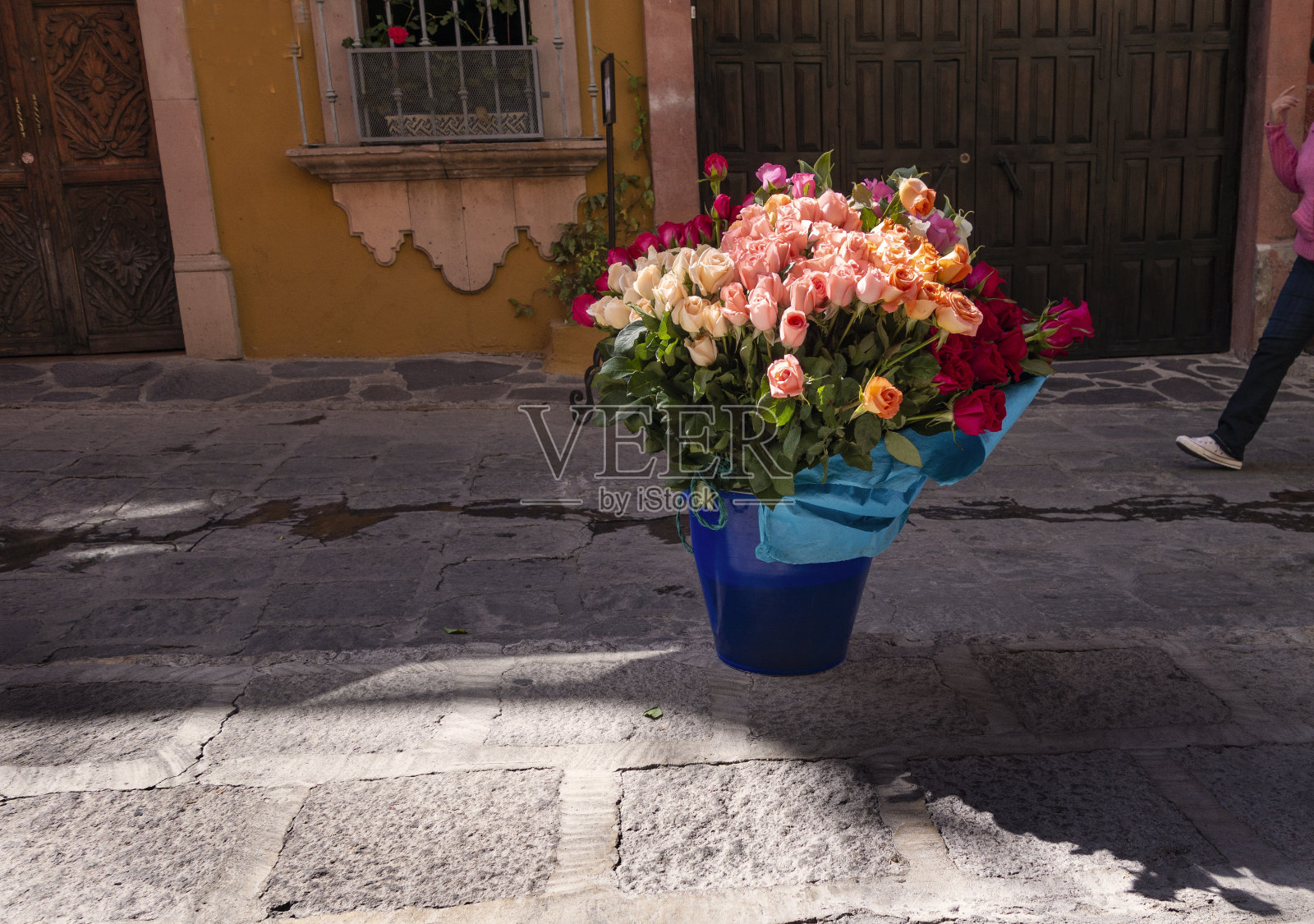 玫瑰照片摄影图片