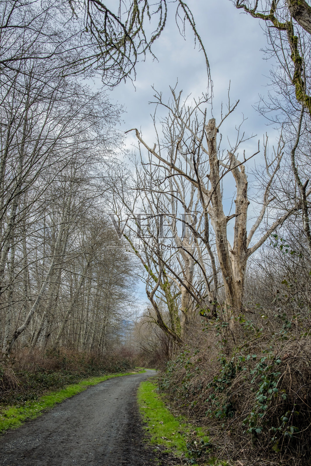 雪马纳斯河河口照片摄影图片