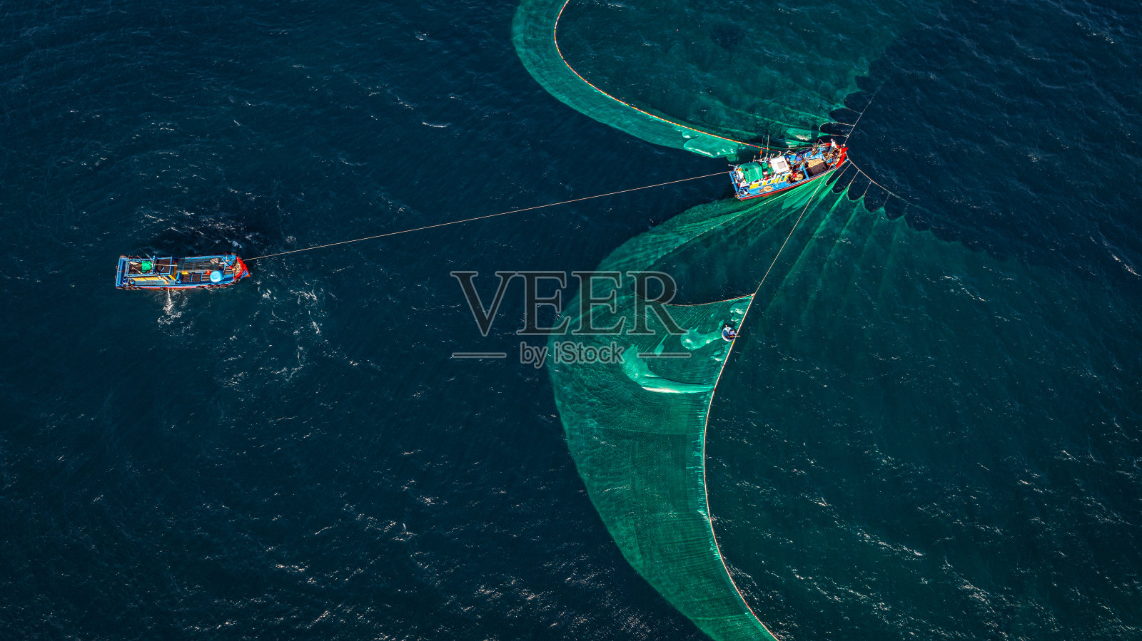 在富颜大兰海放网捕鱼照片摄影图片