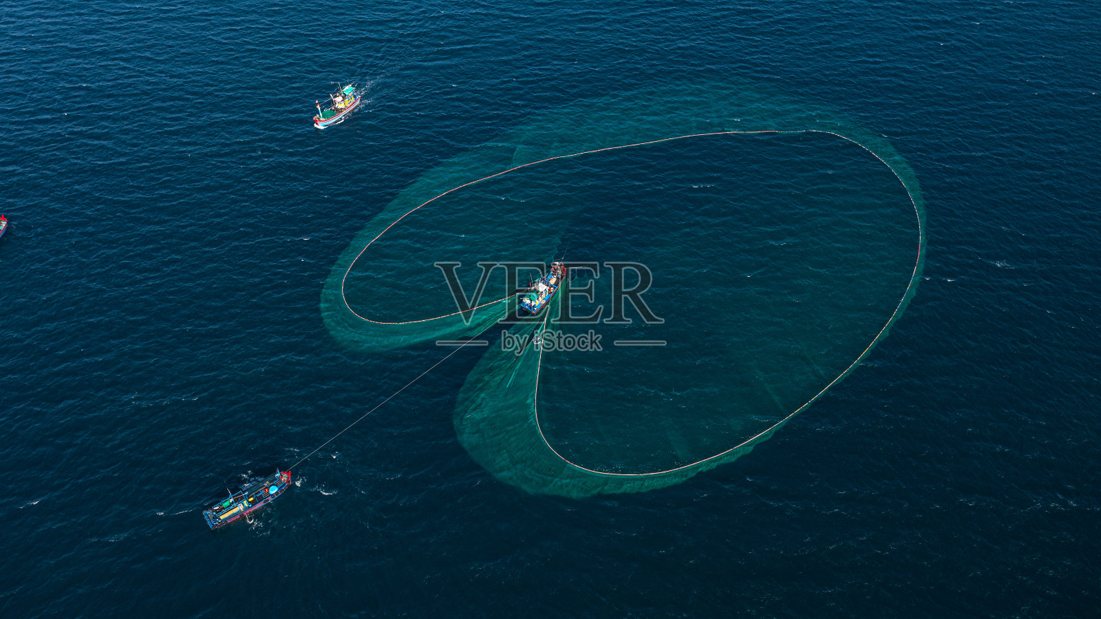 在富颜大兰海放网捕鱼照片摄影图片