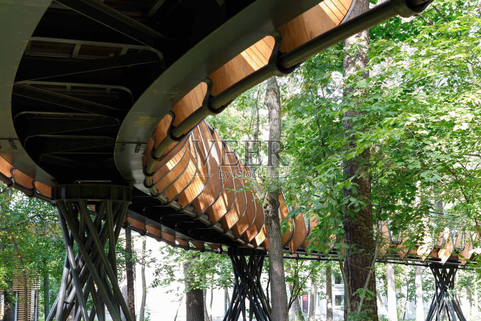 公园内小径,供游人观赏大自然照片摄影图片