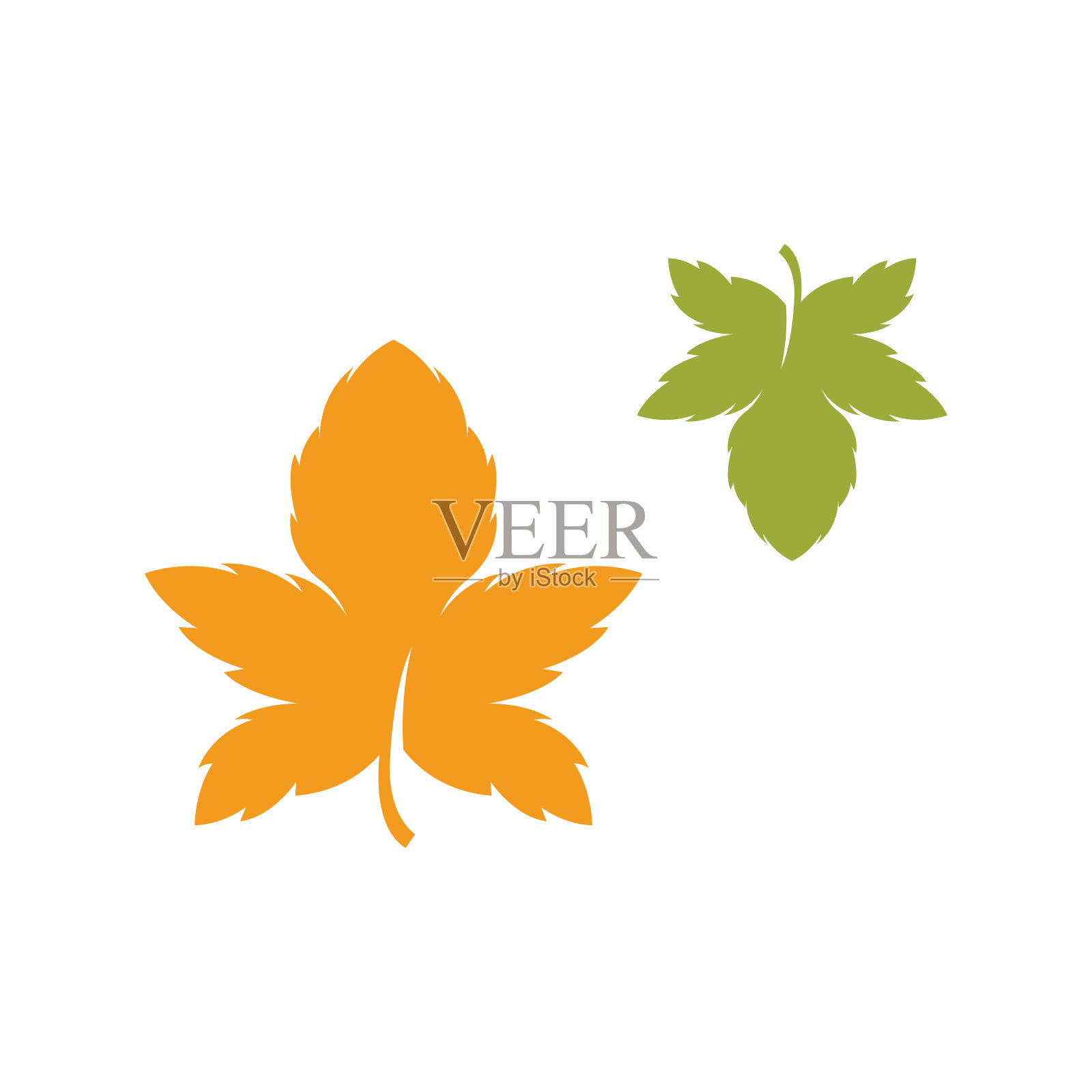 秋天枫叶矢量插图设计模板插画图片素材