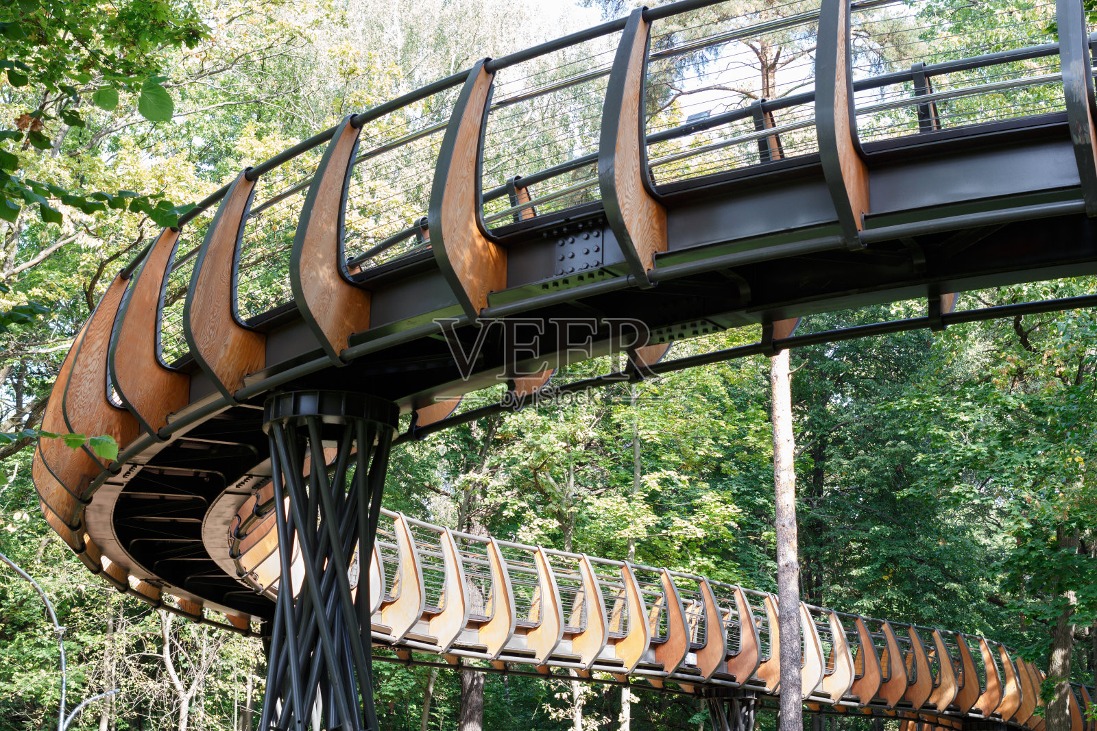 公园内小径，供游人观赏大自然照片摄影图片