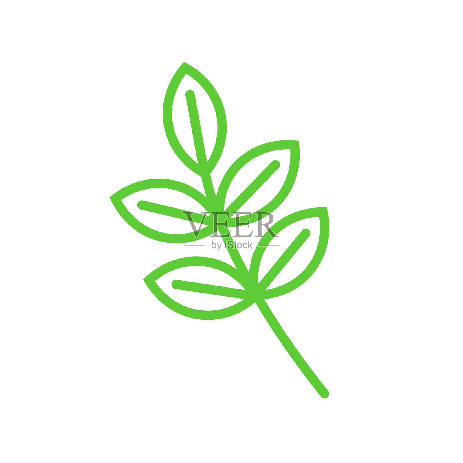 灰树的叶子，叶子图标，孤立在白色背景上插画图片素材