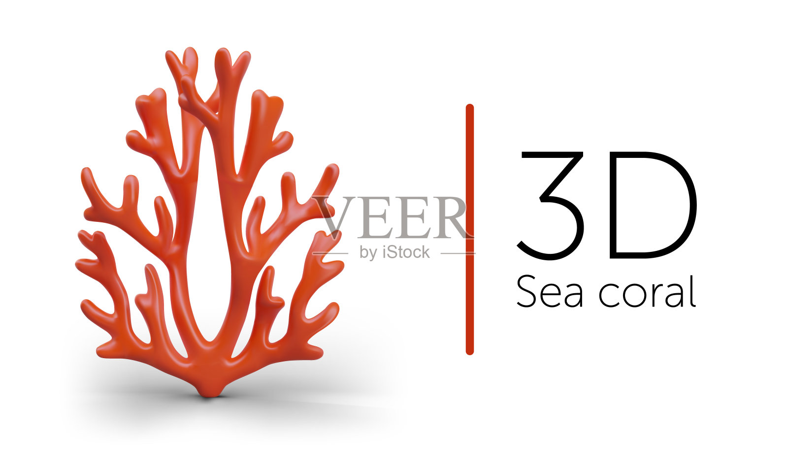 海报与现实的海珊瑚在白色背景。海底植物插画图片素材